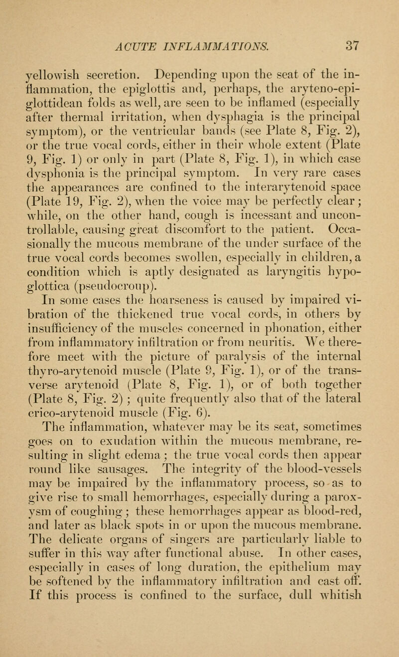 yellowish secretion. Depending upon the seat of the in- flammation, the epiglottis and, perhaps, the aryteno-epi- glottidean folds as well, are seen to be inflamed (especially after thermal irritation, when dysphagia is the principal symptom), or the ventricular bands (see Plate 8, Fig. 2), or the true vocal cords, either in their whole extent (Plate 9, Fig. 1) or only in part (Plate 8, Fig. 1), in wdiich case dysphonia is the principal symptom. In very rare cases the appearances are confined to the interarytenoid space (Pkite 19, Fig. 2), when the voice may be perfectly clear; while, on the other hand, cough is incessant and uncon- trollal)le, causing great discomfort to the patient. Occa- sionally the mucous membrane of the under surface of the true vocal cords becomes swollen, especially in children, a condition which is aptly designated as laryngitis hypo- glottica (pseudocroup). In some cases the hoarseness is caused by impaired vi- bration of the thickened true vocal cords, in others by insufficiency of the muscles concerned in phonation, either from inflammatory infiltration or from neuritis. We there- fore meet with the picture of paralysis of the internal thyro-arytenoid muscle (Plate 9, Fig. 1), or of the trans- verse arytenoid (Plate 8, Fig. 1), or of both together (Plate 8, Fig. 2) ; quite frequently also that of the lateral crico-arytenoid muscle (Fig. 6). The inflammation, whatever may be its seat, sometimes goes on to exudation within the mucous membrane, re- sulting in slight edema; the true vocal cords then appear round like sausages. The integrity of the blood-vessels may be impaired by the inflammatory process, so as to give rise to small hemorrhages, especially during a parox- ysm of coughing ; these hemorrhages appear as blood-red, and later as black spots in or upon the mucous membrane. The delicate organs of singers are particularly liable to suffer in this way after functional abuse. In other cases, especially in cases of long duration, the epithelium may be softened by the inflammatory infiltration and cast off. If this process is confined to the surface, dull whitish
