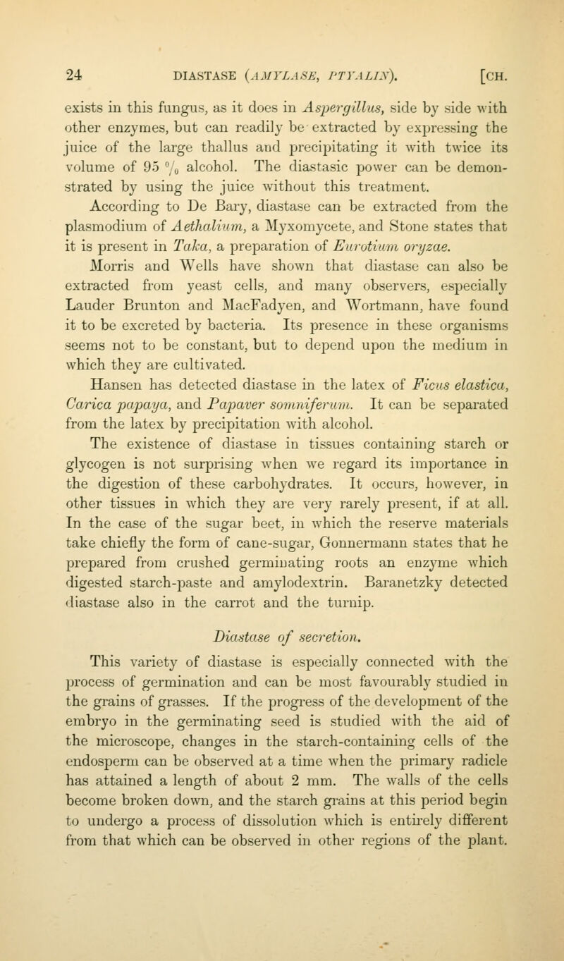exists in this fungus, as it does in Aspergillus, side by side with other enzymes, but can i-eadily be extracted by expressing the juice of the large thallus and precipitating it with twice its volume of 95 % alcohol. The diastasic power can be demon- strated by using the juice without this treatment. According to De Bary, diastase can be extracted from the Plasmodium of Aethalium, a Myxomycete, and Stone states that it is present in Taka, a preparation of Eurotium oryzae. MoitIs and Wells have shown that diastase can also be extracted from yeast cells, and many observers, especially Lauder Brunton and MacFadyen, and Wortmann, have found it to be excreted by bacteria. Its presence in these organisms seems not to be constant, but to depend upon the medium in which they are cultivated. Hansen has detected diastase in the latex of Ficus elastica, Carica papaya, and Papavej^ soinrdferurn. It can be separated from the latex by precipitation with alcohol. The existence of diastase in tissues containing starch or glycogen is not surprising when we regard its importance in the digestion of these carbohydrates. It occurs, however, ia other tissues in which they are very rarely present, if at all. In the case of the sugar beet, in which the reserve materials take chiefly the form of cane-sugar, Gonnermann states that he prepared from crushed germinating roots an enzyme which digested starch-paste and amylodextrin. Baranetzky detected diastase also in the carrot and the turnip. Diastase of secretion. This variety of diastase is especially connected with the process of germination and can be most favourably studied in the grains of grasses. If the progi'ess of the development of the embryo in the germinating seed is studied with the aid of the microscope, changes in the starch-containing cells of the endosperm can be observed at a time when the primary radicle has attained a length of about 2 mm. The walls of the cells become broken down, and the starch gi-ains at this period begin to undergo a process of dissolution which is entirely different from that which can be observed in other regions of the plant.