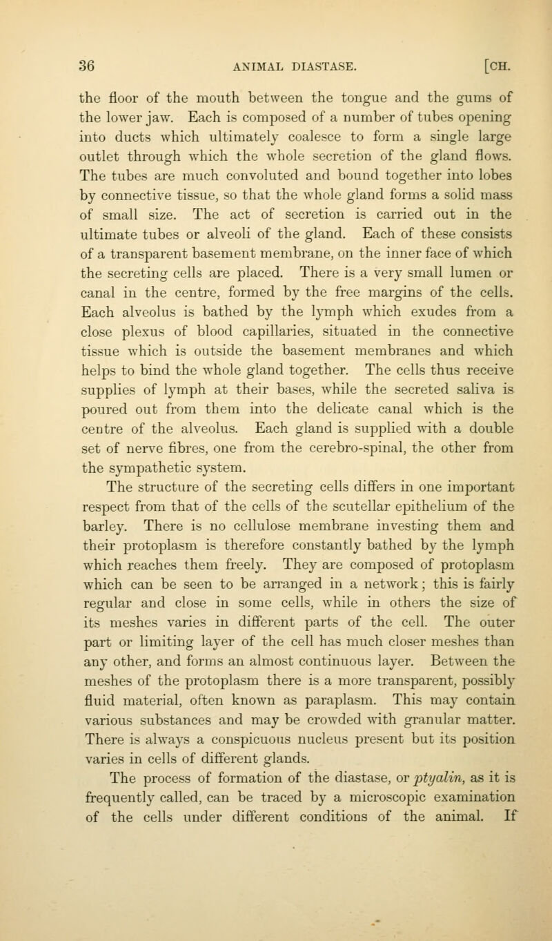 the floor of the mouth between the tongue and the gums of the lower jaw. Each is composed of a number of tubes opening into ducts which ultimately coalesce to form a single large outlet through which the whole secretion of the gland flows. The tubes are much convoluted and bound together into lobes by connective tissue, so that the whole gland forms a solid mass of small size. The act of secretion is carried out in the ultimate tubes or alveoli of the gland. Each of these consists of a transparent basement membrane, on the inner face of which the secreting cells are placed. There is a very small lumen or canal in the centre, formed by the free margins of the cells. Each alveolus is bathed by the lymph which exudes from a close plexus of blood capillaries, situated in the connective tissue which is outside the basement membranes and which helps to bind the whole gland together. The cells thus receive supplies of lymph at their bases, while the secreted saliva is poured out from them into the delicate canal which is the centre of the alveolus. Each gland is supplied with a double set of nerve fibres, one from the cerebro-spinal, the other from the sympathetic system. The structure of the secreting cells differs in one important respect from that of the cells of the scutellar epithelium of the barley. There is no cellulose membrane investing them and their protoplasm is therefore constantly bathed by the lymph which reaches them freely. They are composed of protoplasm which can be seen to be arranged in a network; this is fairly regular and close in some cells, while in others the size of its meshes varies in different parts of the cell. The outer part or limiting layer of the cell has much closer meshes than any other, and forms an almost continuous layer. Between the meshes of the protoplasm there is a more transparent, possibly fluid material, often known as paraplasm. This may contain various substances and may be crowded with granular matter. There is always a conspicuous nucleus present but its position varies in cells of different glands. The process of formation of the diastase, or ptyalin, as it is frequently called, can be traced by a microscopic examination of the cells under different conditions of the animal. If