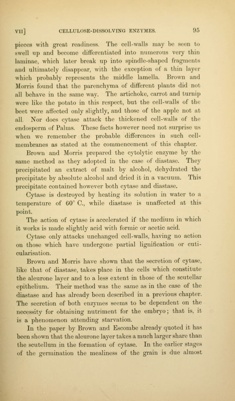 pieces with great readiness. The cell-walls may be seen t(i swell up and become differentiated into nmnerous very thin laminae, which later break up into .spindle-shaped fragments an(i ultimately disappear, with the exception of a thin layer which probably represents the middle lamella. Brown and Morris found that the parenchyma of different plants did not all behave in the same wa}'. The artichoke, carrot and turnip were like the potato in this respect, but the cell-walls oi the beet were affected only slightly, and those of the apple not at all. Nor does cytase attack the thickened cell-walls of the endosperm of Palms. These facts however need not surprise us when we remember the probable differences in such cell- membranes as stated at the commencement of this chapter. Brown and Morris prepared the cytolytic enzyme by the same method as they adopted in the case of diastase. They precipitated an extract of malt by alcohol, dehydrated the precipitate by absolute alcohol and dried it in a vacuum. This precipitate contained however both cytase and diastase. Cytase is destroyed by heating its solution in water to a temperature of 60° C, while diastase is unaffected at this point. The action of cytase is accelerated if the medium in which it works is made slightly acid with formic or acetic acid. Cytase only attacks unchanged cell-walls, having no action on those which have undergone partial lignification or cuti- cularisation. Brown and Morris have shown that the secretion of cytase, like that of diastase, takes place in the cells which constitute the aleurone la3'er and to a less extent in those of the scutellar epithelium. Their method was the same as in the case of the diastase and has already been described in a previous chapter. The secretion of both enzymes seems to be dependent on the necessity for obtaining nutriment for the embryo; that is, it is a phenomenon attending starvation. In the paper by Brown and Escombe already quoted it has been shown that the aleurone layer takes a much larger share than the scutellum in the formation of cytase. In the earlier stages of the germination the mealiness of the grain is due almost