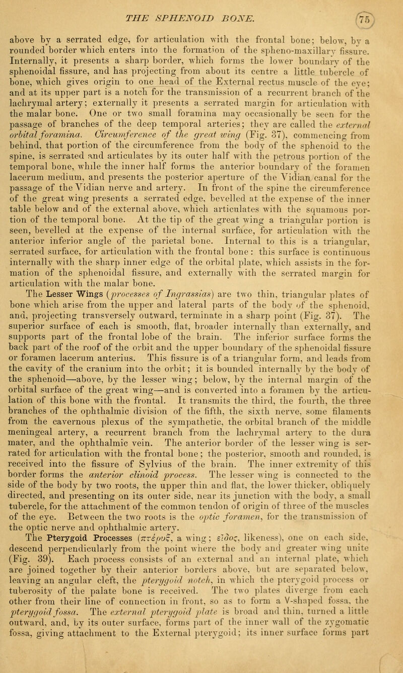 above by a serrated edge, for articulation with the frontal bone; below, bv a rounded border which enters into the formation of the spheno-maxillarv fissure. Internally, it presents a sharp border, which forms the lower boundary of the sphenoidal fissure, and has projecting from about its centre a little tubercle of bone, which gives origin to one head of the External rectus muscle of the eve; and at its upper part is a notch for the transmission of a recurrent branch of the lachrymal artery; externally it presents a serrated margin for articulation with the malar bone. One or two small foramina may occasionally be seen for the passage of branches of the deep temporal arteries; they are called the external orbital foramina. Circumference of the great tving (Fig. 37), commencing from behind, that portion of the circumference from the body of the sphenoid to the spine, is serrated and articulates by its outer half with the petrous portion of the temporal bone, while the inner half forms the anterior boundary of the foramen lacerum medium, and presents the posterior aperture of the Vidian canal for the passage of the Vidian nerve and artery. In front of the spine the circumference of the great wing presents a serrated edge, bevelled at the expense of the inner table below and of the external above, which articulates with the squamous por- tion of the temporal bone. At the tip of the great wing a triangular portion is seen, bevelled at the expense of the internal surface, for articulation with the anterior inferior angle of the parietal bone. Internal to this is a triangular, serrated surface, for articulation with the frontal bone: this surface is continuous internally with the sharp inner edge of the orbital plate, which assists in the for- mation of the sphenoidal fissure, and externally with the serrated margin for articulation with the malar bone. The Lesser Wings {processes of Ingrassias) are two thin, triangular plates of bone which arise from the upper and lateral parts of the body of the sphenoid, and, projecting transversely outward, terminate in a sharp point (Fig. 37). The superior surface of each is smooth, flat, broader internally than externally, and supports part of the frontal lobe of the brain. The inferior surface forms the back part of the roof of the orbit and the upper boundary of the sphenoidal fissure or foramen lacerum anterius. This fissure is of a triangular form, and leads from the cavity of the cranium into the orbit; it is bounded internally by the body of the sphenoid—above, by the lesser wing; below, by the internal margin of the orbital surface of the great wing—and is converted into a foramen by the articu- lation of this bone with the frontal. It transmits the third, the fourth, the three branches of the ophthalmic division of the fifth, the sixth nerve, some filaments from the cavernous plexus of the sympathetic, the orbital branch of the middle meningeal artery, a recurrent branch from the lachrymal artery to the dura mater, and the ophthalmic vein. The anterior border of the lesser wing is ser- rated for articulation with the frontal bone; the posterior, smooth and rounded, is received into the fissure of Sylvius of the brain. The inner extremity of this border forms the anterior clinoid process. The lesser wing is connected to the side of the body by two roots, the upper thin and flat, the lower thicker, obliquely directed, and presenting on its outer side, near its junction with the body, a small tubercle, for the attachment of the common tendon of origin of three of the muscles of the eye. Between the two roots is the optic foramen, for the transmission of the optic nerve and ophthalmic artery. The Pterygoid Processes (nreput;, a wing; elooz, likeness), one on each side, descend perpendicularly from the point where the body and greater wing unite (Fig. 39). Each process consists of an external and an internal plate, which are joined together by their anterior borders above, but are separated below, leaving an angular cleft, the pterygoid notch, in which the pterygoid process or tuberosity of the palate bone is received. The two plates diverge from each other from their line of connection in front, so as to form a V-shaped fossa, the pterygoid fossa. The external pterygoid plate is broad and thin, turned a little outward, and, by its outer surface, forms part of the inner wall of the zygomatic fossa, giving attachment to the External pterygoid; its inner surface forms part