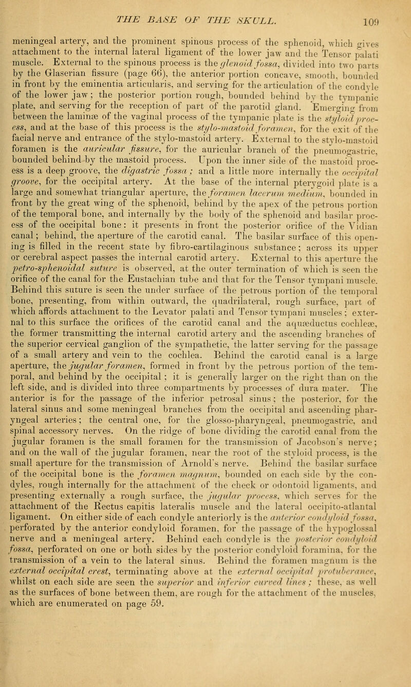 meningeal artery, and the prominent spinous process of the sphenoid, which gives attachment to the internal lateral ligament of the lower jaw and the Tensor palati muscle. External to the spinous process is the glenoid fossa, divided into two parts by the Glaserian fissure (page 66), the anterior portion concave, smooth, bounded in front by the eminentia articularis, and serving for the articulation of the condyle of the lower jaw ; the posterior portion rough, bounded behind by the tympanic plate, and serving for the reception of part of the parotid gland. Emerging from between the laminae of the vaginal process of the tympanic plate is the styloid proc- ess, and at the base of this process is the stylo-mastoid foramen, for the exit of the facial nerve and entrance of the stylo-mastoid artery. External to the stylo-mastoid foramen is the auricular fissure, for the auricular branch of the pneumogastric. bounded behind by the mastoid process. Upon the inner side of the mastoid proc- ess is a deep groove, the digastric fossa ; and a little more internally the occipital groove, for the occipital artery. At the base of the internal pterygoid plate is a large and somewhat triangular aperture, the foramen lacerum medium, bounded in front by the great wing of the sphenoid, behind by the apex of the petrous portion of the temporal bone, and internally by the body of the sphenoid and basilar proc- ess of the occipital bone: it presents in front the posterior orifice of the Vidian canal; behind, the aperture of the carotid canal. The basilar surface of this open- ing is filled in the recent state by fibro-cartilaginous substance; across its upper or cerebral aspect passes the internal carotid artery. External to this aperture the petro-splienoidal suture is observed, at the outer termination of which is seen the orifice of the canal for the Eustachian tube and that for the Tensor tympani muscle. Behind this suture is seen the under surface of the petrous portion of the temporal bone, presenting, from within outward, the quadrilateral, rough surface, part of which affords attachment to the Levator palati and Tensor tympani muscles ; exter- nal to this surface the orifices of the carotid canal and the acpuseductus cochlea?, the former transmitting the internal carotid artery and the ascending branches of the superior cervical ganglion of the sympathetic, the latter serving for the passage of a, small artery and vein to the cochlea. Behind the carotid canal is a large aperture, the jugular foramen, formed in front by the petrous portion of the tem- poral, and behind by the occipital; it is generally larger on the right than on the left side, and is divided into three compartments by processes of dura mater. The anterior is for the passage of the inferior petrosal sinus; the posterior, for the lateral sinus and some meningeal branches from the occipital and ascending phar- yngeal arteries; the central one, for the glossopharyngeal, pneumogastric, and spinal accessory nerves. On the ridge of bone dividing the carotid canal from the jugular foramen is the small foramen for the transmission of Jacobson's nerve; and on the wall of the jugular foramen, near the root of the styloid process, is the small aperture for the transmission of Arnold's nerve. Behind the basilar surface of the occipital bone is the foramen magnum, bounded on each side by the con- dyles, rough internally for the attachment of the check or odontoid ligaments, and presenting externally a rough surface, the jugular process, Avhich serves for the attachment of the Rectus capitis lateralis muscle and the lateral occipito-atlantal ligament. On either side of each condyle anteriorly is the anterior condyloid fossa, perforated by the anterior condyloid foramen, for the passage of the hypoglossal nerve and a meningeal artery. Behind each condyle is the posterior condyloid fossa, perforated on one or both sides by the posterior condyloid foramina, for the transmission of a vein to the lateral sinus. Behind the foramen magnum is the external occipital crest, terminating above at the external occipital protuberance, whilst on each side are seen the superior and inferior curved lines ; these, as -well as the surfaces of bone between them, are rough for the attachment of the muscles, which are enumerated on page 59.