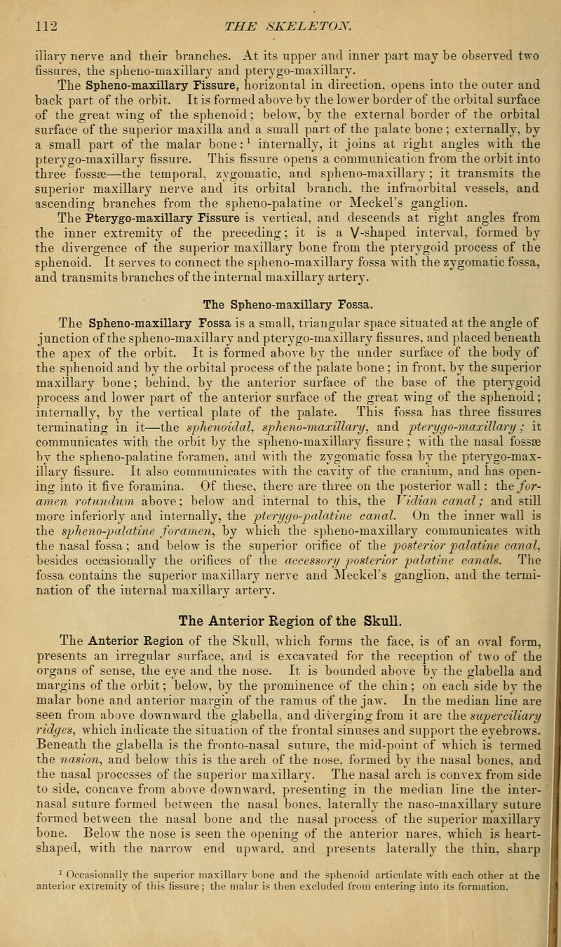 iliary nerve and their branches. At its upper and inner part may be observed two fissures, the spheno-maxillary and pterygo-maxillary. The Spheno-maxillary Fissure, horizontal in direction, opens into the outer and back part of the orbit. It is formed above by the lower border of the orbital surface of the great wing of the sphenoid; below, by the external border of the orbital surface of the superior maxilla and a small part of the palate bone ; externally, by a small part of the malar bone:l internally, it joins at right angles with the pterygo-maxillary fissure. This fissure opens a communication from the orbit into three fossee—the temporal, zygomatic, and spheno-maxillary; it transmits the superior maxillary nerve and its orbital branch, the infraorbital vessels, and ascending branches from the spheno-palatine or Meckel's ganglion. The Pterygo-maxillary Fissure is vertical, and descends at right angles from the inner extremity of the preceding; it is a V-shaped interval, formed by the divergence of the superior maxillary bone from the pterygoid process of the sphenoid. It serves to connect the spheno-maxillary fossa with the zygomatic fossa, and transmits branches of the internal maxillary artery. The Spheno-maxillary Fossa. The Spheno-maxillary Fossa is a small, triangular space situated at the angle of junction of the spheno-maxillary and pterygo-maxillary fissures, and placed beneath the apex of the orbit. It is formed above by the under surface of the body of the sphenoid and by the orbital process of the palate bone ; in front, by the superior maxillary bone; behind, by the anterior surface of the base of the pterygoid process and lower part of the anterior surface of the great wing of the sphenoid; internally, by the vertical plate of the palate. This fossa has three fissures terminating in it—the sphenoidal, spheno-maxillary, and jpterygo-maxillary; it communicates with the orbit by the spheno-maxillary fissure : with the nasal fossse by the spheno-palatine foramen, and with the zygomatic fossa by the pterygo-max- illary fissure. It also communicates with the cavity of the cranium, and has open- ing into it five foramina. Of these, there are three on the posterior wall: the for- amen rotundum above; below and internal to this, the Vidian canal; and still more inferiorly and internally, the pterygo-palatine canal. On the inner wall is the spheno-palatine foramen, by which the spheno-maxillary communicates with the nasal fossa; and below is the superior orifice of the posterior palatine caned, besides occasionally the orifices of the accessory posterior palatine canals. The fossa contains the superior maxillary nerve and Meckel's ganglion, and the termi- nation of the internal maxillary artery. The Anterior Region of the Skull. The Anterior Region of the Skull, which forms the face, is of an oval form, presents an irregular surface, and is excavated for the reception of two of the organs of sense, the eye and the nose. It is bounded above by the glabella and margins of the orbit; below, by the prominence of the chin; on each side by the malar bone and anterior margin of the ramus of the jaw. In the median line are seen from above downward the glabella, and diverging from it are the superciliary ridges, Avhich indicate the situation of the frontal sinuses and support the eyebrows. Beneath the glabella is the fronto-nasal suture, the mid-point of which is termed the nasion, and below this is the arch of the nose, formed by the nasal bones, and the nasal processes of the superior maxillary. The nasal arch is convex from side to side, concave from above downward, presenting in the median line the inter- nasal suture formed between the nasal bones, laterally the naso-maxillary suture formed between the nasal bone and the nasal process of the superior maxillary bone. Below the nose is seen the opening of the anterior nares, which is heart- shaped, with the narrow end upward, and presents laterally the thin, sharp 1 Occasionally the superior maxillary bone and the sphenoid articulate with each other at the anterior extremity of this fissure; the malar is then excluded from entering into its formation.
