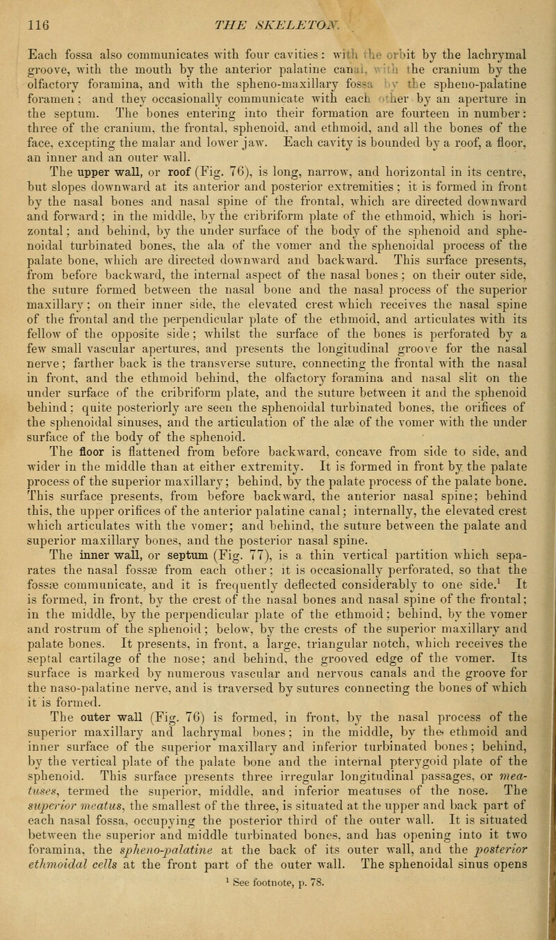 Each fossa also communicates with four cavities: with the orbit by the lachrymal groove, with the mouth by the anterior palatine can h the cranium by the olfactory foramina, and with the spheno-maxillary foas / tLe spheno-palatine foramen ; and they occasionally communicate with eacL her by an aperture in the septum. The bones entering into their formation are fourteen in number: three of the cranium, the frontal, sphenoid, and ethmoid, and all the bones of the face, excepting the malar and lower jaw. Each cavity is bounded by a roof, a floor, an inner and an outer wall. The upper wall, or roof (Fig. 76), is long, narrow, and horizontal in its centre, but slopes downward at its anterior and posterior extremities; it is formed in front by the nasal bones and nasal spine of the frontal, which are directed downward and forward; in the middle, by the cribriform plate of the ethmoid, which is hori- zontal ; and behind, by the under surface of the body of the sphenoid and sphe- noidal turbinated bones, the ala of the vomer and the sphenoidal process of the palate bone, which are directed downward and backward. This surface presents, from before backward, the internal aspect of the nasal bones; on their outer side, the suture formed between the nasal bone and the nasal process of the superior maxillary; on their inner side, the elevated crest which receives the nasal spine of the frontal and the perpendicular plate of the ethmoid, and articulates with its fellow of the opposite side; whilst the surface of the bones is perforated by a few small vascular apertures, and presents the longitudinal groove for the nasal nerve; farther back is the transverse suture, connecting the frontal with the nasal in front, and the ethmoid behind, the olfactory foramina and nasal slit on the under surface of the cribriform plate, and the suture between it and the sphenoid behind; quite posteriorly are seen the sphenoidal turbinated bones, the orifices of the sphenoidal sinuses, and the articulation of the alse of the vomer with the under surface of the body of the sphenoid. The floor is flattened from before backward, concave from side to side, and wider in the middle than at either extremity. It is formed in front by the palate process of the superior maxillary; behind, by the palate process of the palate bone. This surface presents, from before backward, the anterior nasal spine; behind this, the upper orifices of the anterior palatine canal; internally, the elevated crest which articulates with the vomer; and behind, the suture between the palate and superior maxillary bones, and the posterior nasal spine. The inner wall, or septum (Fig. 77), is a thin vertical partition which sepa- rates the nasal fossae from each other; it is occasionally perforated, so that the fossae communicate, and it is frequently deflected considerably to one side.1 It is formed, in front, by the crest of the nasal bones and nasal spine of the frontal; in the middle, by the perpendicular plate of the ethmoid; behind, by the vomer and rostrum of the sphenoid; below, by the crests of the superior maxillary and palate bones. It presents, in front, a large, triangular notch, which receives the septal cartilage of the nose; and behind, the grooved edge of the vomer. Its surface is marked by numerous vascular and nervous canals and the groove for the naso-palatine nerve, and is traversed by sutures connecting the bones of which it is formed. The outer wall (Fig. 76) is formed, in front, by the nasal process of the superior maxillary and lachrymal bones; in the middle, by the- ethmoid and inner surface of the superior maxillary and inferior turbinated bones; behind, by the vertical plate of the palate bone and the internal pterygoid plate of the sphenoid. This surface presents three irregular longitudinal passages, or mea- tuses, termed the superior, middle, and inferior meatuses of the nose. The superior meatus, the smallest of the three, is situated at the upper and back part of each nasal fossa, occupying the posterior third of the outer wall. It is situated between the superior and middle turbinated bones, and has opening into it two foramina, the spheno-palatine at the back of its outer Avail, and the posterior ethmoidal cells at the front part of the outer wall. The sphenoidal sinus opens 1 See footnote, p. 78.