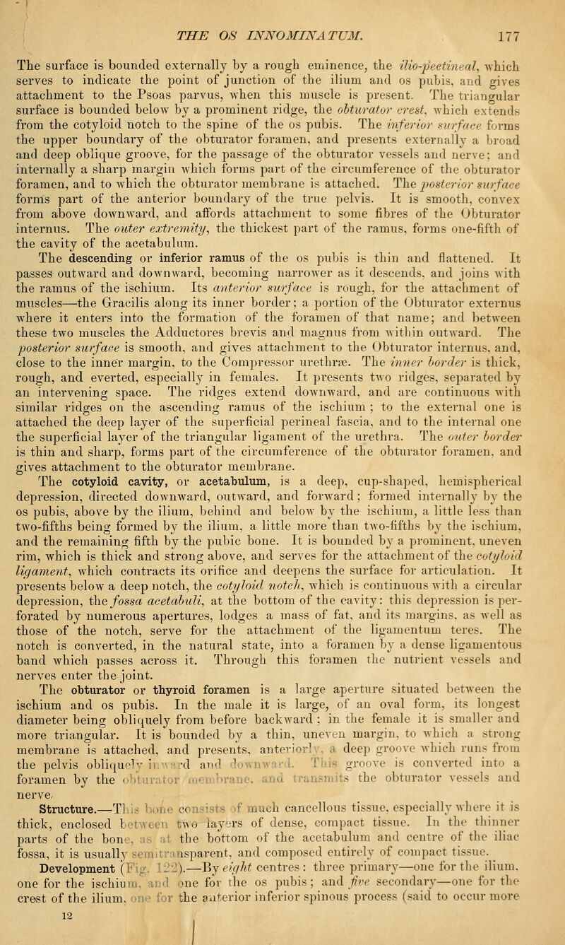 The surface is bounded externally by a rough eminence, the ilio-peetineal, which serves to indicate the point of junction of the ilium and os pubis, and gives attachment to the Psoas parvus, when this muscle is present. The triangular surface is bounded below by a prominent ridge, the obturator crest, which extends from the cotyloid notch to the spine of the os pubis. The inferior surface forms the upper boundary of the obturator foramen, and presents externally a broad and deep oblique groove, for the passage of the obturator vessels and nerve; and internally a sharp margin which forms part of the circumference of the obturator foramen, and to which the obturator membrane is attached. The posterior surface forms part of the anterior boundary of the true pelvis. It is smooth, convex from above downward, and affords attachment to some fibres of the Obturator internus. The outer extremity, the thickest part of the ramus, forms one-fifth of the cavity of the acetabulum. The descending or inferior ramus of the os pubis is thin and flattened. It passes outward and downward, becoming narrower as it descends, and joins with the ramus of the ischium. Its anterior surface is rough, for the attachment of muscles—the Gracilis along its inner border; a portion of the Obturator externus where it enters into the formation of the foramen of that name; and between these two muscles the Adductores brevis and magnus from Avithin outward. The posterior surface is smooth, and gives attachment to the Obturator internus, and, close to the inner margin, to the Compressor urethra. The inner border is thick, rough, and everted, especially in females. It presents two ridges, separated by an intervening space. The ridges extend downward, and are continuous with similar ridges on the ascending ramus of the ischium ; to the external one is attached the deep layer of the superficial perineal fascia, and to the internal one the superficial layer of the triangular ligament of the urethra. The outer border is thin and sharp, forms part of the circumference of the obturator foramen, and gives attachment to the obturator membrane. The cotyloid cavity, or acetabulum, is a deep, cup-shaped, hemispherical depression, directed downward, outward, and forward; formed internally by the os pubis, above by the ilium, behind and below by the ischium, a little less than two-fifths being formed by the ilium, a little more than two-fifths by the ischium, and the remaining fifth by the pubic bone. It is bounded by a prominent, uneven rim, which is thick and strong above, and serves for the attachment of the cotyloid ligament, which contracts its orifice and deepens the surface for articulation. It presents below a deep notch, the cotyloid notch, which is continuous with a circular depression, the fossa acetabuli, at the bottom of the cavity: this depression is per- forated by numerous apertures, lodges a mass of fat, and its margins, as well as those of the notch, serve for the attachment of the ligamentum teres. The notch is converted, in the natural state, into a foramen by a dense ligamentous band which passes across it. Through this foramen the nutrient vessels and nerves enter the joint. The obturator or thyroid foramen is a large aperture situated between the ischium and os pubis. In the male it is large, of an oval form, its longest diameter being obliquely from before backward ; in the female it is smaller and more triangular. It is bounded by a thin, uneven margin, to which a strong membrane is attached, and presents, anterior] a deep groove which runs from the pelvis obliquely ii -d and d Th. I groove is converted into a foramen by the obi in I its the obturator vessels and nerve. Structure.—Tl e consists of much cancellous tissue, especially where it is thick, enclosed between lw« layers of dense, compact tissue. In the thinner parts of the bon the bottom of the acetabulum and centre of the iliac- fossa, it is usually isparent, and composed entirely of compact tissue. Development ( ).—By eight centres: three primary—one for the ilium, one for the ischium, md one for the os pubis; and five secondary—one for the crest of the ilium, one for the anterior inferior spinous process (said to occur more 12