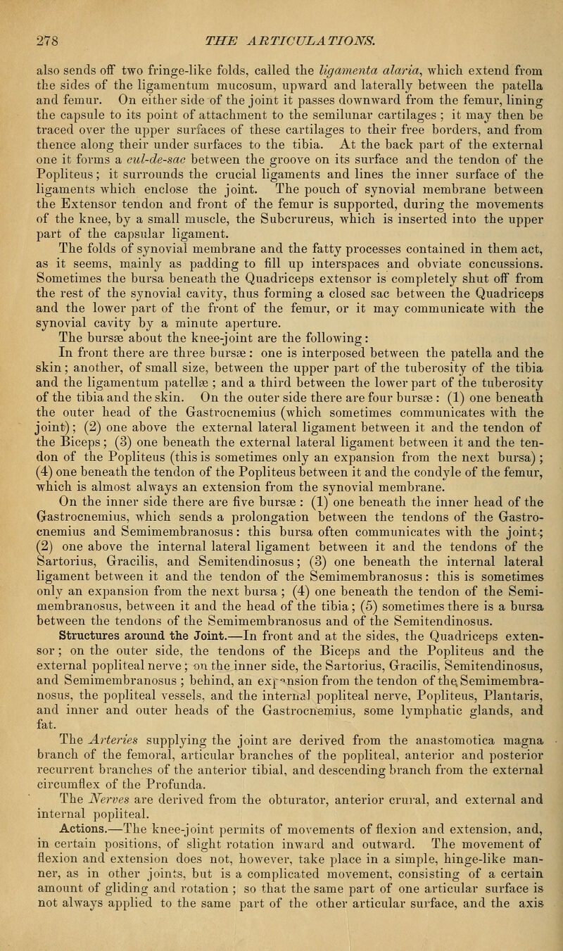also sends off two fringe-like folds, called the ligamenta alaria, which extend from the sides of the ligamentum mucosum, upward and laterally between the patella and femur. On either side of the joint it passes downward from the femur, lining the capsule to its point of attachment to the semilunar cartilages ; it may then be traced over the upper surfaces of these cartilages to their free borders, and from thence along their under surfaces to the tibia. At the back part of the external one it forms a cul-de-sac between the groove on its surface and the tendon of the Popliteus; it surrounds the crucial ligaments and lines the inner surface of the ligaments which enclose the joint. The pouch of synovial membrane between the Extensor tendon and front of the femur is supported, during the movements of the knee, by a small muscle, the Subcrureus, which is inserted into the upper part of the capsular ligament. The folds of synovial membrane and the fatty processes contained in them act, as it seems, mainly as padding to fill up interspaces and obviate concussions. Sometimes the bursa beneath the Quadriceps extensor is completely shut off from the rest of the synovial cavity, thus forming a closed sac between the Quadriceps and the lower part of the front of the femur, or it may communicate with the synovial cavity by a minute aperture. The bursae about the knee-joint are the following: In front there are three bursae: one is interposed between the patella and the skin; another, of small size, between the upper part of the tuberosity of the tibia and the ligamentum patellae ; and a third between the lower part of the tuberosity of the tibia and the skin. On the outer side there are four bursas : (1) one beneath the outer head of the Gastrocnemius (which sometimes communicates with the joint); (2) one above the external lateral ligament between it and the tendon of the Biceps; (3) one beneath the external lateral ligament between it and the ten- don of the Popliteus (this is sometimes only an expansion from the next bursa) ; (4) one beneath the tendon of the Popliteus between it and the condyle of the femur, which is almost always an extension from the synovial membrane. On the inner side there are five bursae : (1) one beneath the inner head of the Gastrocnemius, which sends a prolongation between the tendons of the Gastro- cnemius and Semimembranosus: this bursa often communicates with the joint; (2) one above the internal lateral ligament between it and the tendons of the Sartorius, Gracilis, and Semitendinosus; (3) one beneath the internal lateral ligament between it and the tendon of the Semimembranosus: this is sometimes only an expansion from the next bursa; (4) one beneath the tendon of the Semi- membranosus, between it and the head of the tibia; (5) sometimes there is a bursa between the tendons of the Semimembranosus and of the Semitendinosus. Structures around the Joint.—In front and at the sides, the Quadriceps exten- sor ; on the outer side, the tendons of the Biceps and the Popliteus and the external popliteal nerve; on the inner side, the Sartorius, Gracilis, Semitendinosus, and Semimembranosus ; behind, an expansion from the tendon of the, Semimembra- nosus, the popliteal vessels, and the internal popliteal nerve, Popliteus, Plantaris, and inner and outer heads of the Gastrocnemius, some lymphatic glands, and fat. The Arteries supplying the joint are derived from the anastomotica magna branch of the femoral, articular branches of the popliteal, anterior and posterior recurrent branches of the anterior tibial, and descending branch from the external circumflex of the Profunda. The Nerves are derived from the obturator, anterior crural, and external and internal popliteal. Actions.—The knee-joint permits of movements of flexion and extension, and, in certain positions, of slight rotation inward and outward. The movement of flexion and extension does not, however, take place in a simple, hinge-like man- ner, as in other joints, but is a complicated movement, consisting of a certain amount of gliding and rotation ; so that the same part of one articular surface is not always applied to the same part of the other articular surface, and the axis