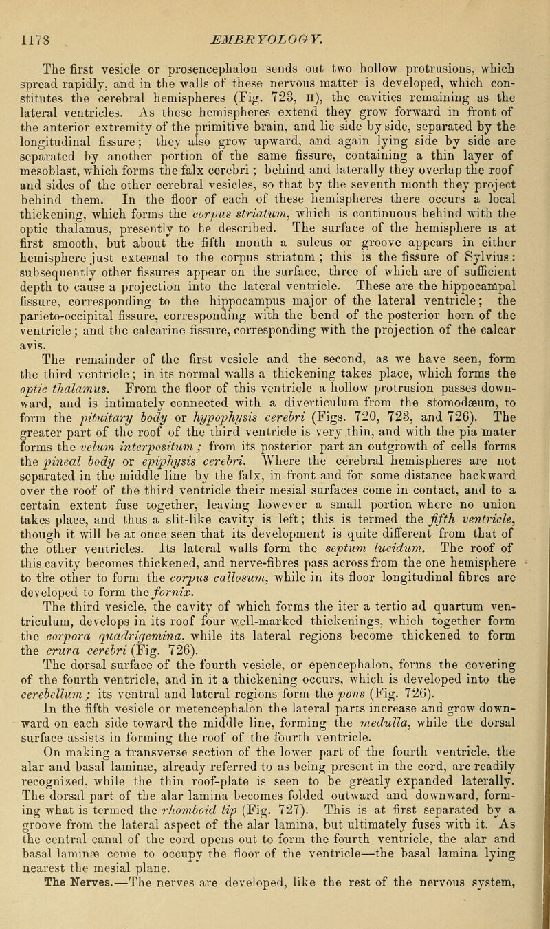 The first vesicle or prosencephalon sends out two hollow protrusions, which spread rapidly, and in the walls of these nervous matter is developed, which con- stitutes the cerebral hemispheres (Fig. 723, h), the cavities remaining as the lateral ventricles. As these hemispheres extend they grow forward in front of the anterior extremity of the primitive brain, and lie side by side, separated by the longitudinal fissure; they also grow upward, and again lying side by side are separated by another portion of the same fissure, containing a thin layer of mesoblast, which forms the falx cerebri; behind and laterally they overlap the roof and sides of the other cerebral vesicles, so that by the seventh month they project behind them. In the floor of each of these hemispheres there occurs a local thickening, which forms the corpus striatum, which is continuous behind with the optic thalamus, presently to be described. The surface of the hemisphere is at first smooth, but about the fifth month a sulcus or groove appears in either hemisphere just external to the corpus striatum ; this is the fissure of Sylvius: subsequently other fissures appear on the surface, three of which are of sufficient depth to cause a projection into the lateral ventricle. These are the hippocampal fissure, corresponding to the hippocampus major of the lateral ventricle; the parieto-occipital fissure, corresponding with the bend of the posterior horn of the ventricle; and the calcarine fissure, corresponding with the projection of the calcar avis. The remainder of the first vesicle and the second, as we have seen, form the third ventricle; in its normal walls a thickening takes place, which forms the optic thalamus. From the floor of this ventricle a hollow protrusion passes down- ward, and is intimately connected with a diverticulum from the stomodseum, to form the pituitary body or hypophysis cerebri (Figs. 720, 723, and 726). The greater part of the roof of the third ventricle is very thin, and with the pia mater forms the velum interpositum ; from its posterior part an outgrowth of cells forms the pineal body or epiphysis cerebri. Where the cerebral hemispheres are not separated in the middle line by the falx, in front and for some distance backward over the roof of the third ventricle their mesial surfaces come in contact, and to a certain extent fuse together, leaving however a small portion where no union takes place, and thus a slit-like cavity is left; this is termed the fifth ventricle, though it will be at once seen that its development is quite different from that of the other ventricles. Its lateral walls form the septum lucidum. The roof of this cavity becomes thickened, and nerve-fibres pass across from the one hemisphere to the other to form the corpus callosum, while in its floor longitudinal fibres are developed to form the fornix. The third vesicle, the cavity of which forms the iter a tertio ad quartum ven- triculum, develops in its roof four well-marked thickenings, which together form the corpora quadrigemina, while its lateral regions become thickened to form the crura cerebri (Fig. 726). The dorsal surface of the fourth vesicle, or epencephalon, forms the covering of the fourth ventricle, and in it a thickening occurs, which is developed into the cerebellum ; its ventral and lateral regions form the pons (Fig. 726). In the fifth vesicle or metencephalon the lateral parts increase and grow down- ward on each side toward the middle line, forming the medulla, while the dorsal surface assists in forming the roof of the fourth ventricle. On making a transverse section of the lower part of the fourth ventricle, the alar and basal laminse, already referred to as being present in the cord, are readily recognized, while the thin roof-plate is seen to be greatly expanded laterally. The dorsal part of the alar lamina becomes folded outward and downward, form- ing what is termed the rhomboid lip (Fig. 727). This is at first separated by a groove from the lateral aspect of the alar lamina, but ultimately fuses with it. As the central canal of the cord opens out to form the fourth ventricle, the alar and basal laminae come to occupy the floor of the ventricle—the basal lamina lying nearest the mesial plane. The Nerves.—The nerves are developed, like the rest of the nervous system,
