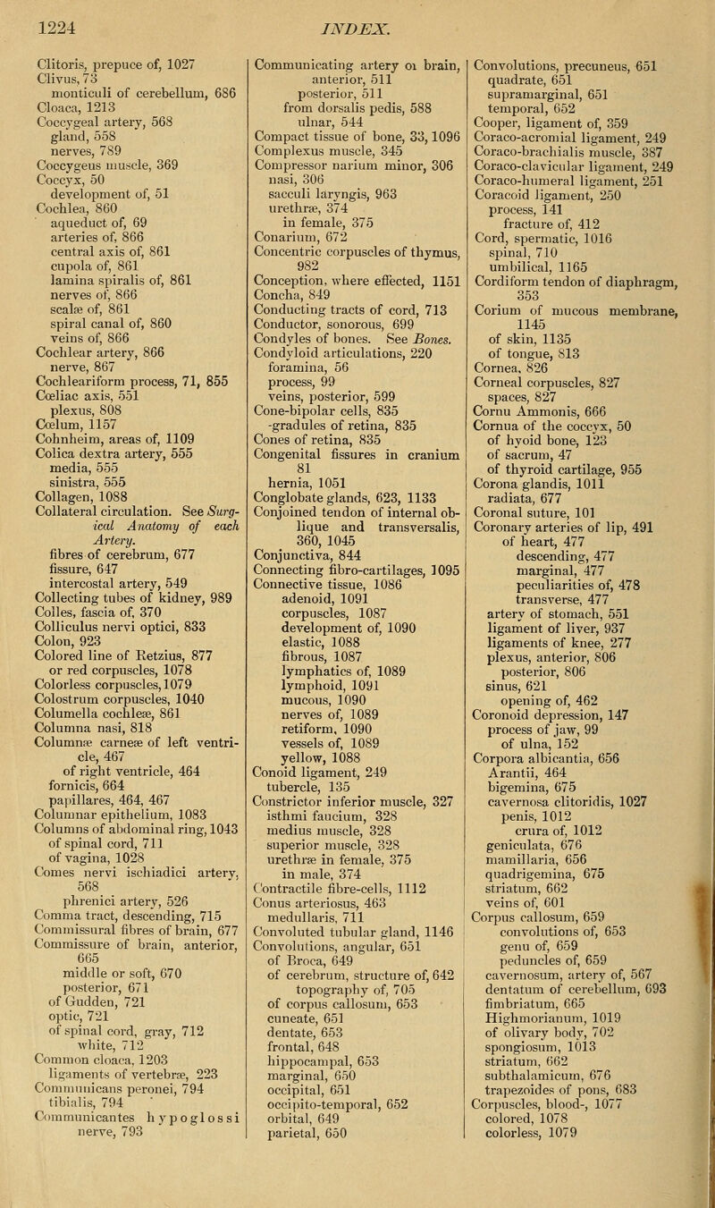 Clitoris, prepuce of, 1027 Clivus, 73 monticuli of cerebellum, 686 Cloaca, 1213 Coccygeal artery, 568 gland, 558 nerves, 789 Coccygeus muscle, 369 Coccyx, 50 development of, 51 Cochlea, 860 aqueduct of, 69 arteries of, 866 central axis of, 861 cupola of, 861 lamina spiralis of, 861 nerves of, 866 scalse of, 861 spiral canal of, 860 veins of, 866 Cochlear artery, 866 nerve, 867 Cochleariform process, 71, 855 Coeliac axis, 551 plexus, 808 Ccelum, 1157 Cohnheim, areas of, 1109 Colica dextra artery, 555 media, 555 sinistra, 555 Collagen, 1088 Collateral circulation. See Surg- ical Anatomy of each Artery. fibres of cerebrum, 677 fissure, 647 intercostal artery, 549 Collecting tubes of kidney, 989 Colles, fascia of, 370 Colli cuius nervi optici, 833 Colon, 923 Colored line of Retzius, 877 or red corpuscles, 1078 Colorless corpuscles, 1079 Colostrum corpuscles, 1040 Columella cochleae, 861 Columna nasi, 818 Columnse carnese of left ventri- cle, 467 of right ventricle, 464 fornicis, 664 papillares, 464, 467 Columnar epithelium, 1083 Columns of abdominal ring, 1043 of spinal cord, 711 of vagina, 1028 Comes nervi ischiadici artery. 568. . phrenici artery, 526 Comma tract, descending, 715 Commissural fibres of brain, 677 Commissure of brain, anterior, 665 middle or soft, 670 posterior, 671 of Gudden, 721 optic, 721 of spinal cord, gray, 712 white, 712 Common cloaca, 1203 ligaments of vertebrae, 223 Coramunicans peronei, 794 tibialis, 794 Communicantes hypoglossi nerve, 793 Communicating artery oi brain, anterior, 511 posterior, 511 from dorsalis pedis, 588 ulnar, 544 Compact tissue of bone, 33,1096 Complexus muscle, 345 Compressor narium minor, 306 nasi, 306 sacculi laryngis, 963 urethra, 374 in female, 375 Conarium, 672 Concentric corpuscles of thymus, 982 Conception, where effected, 1151 Concha, 849 Conducting tracts of cord, 713 Conductor, sonorous, 699 Condyles of bones. See Bones. Condyloid articulations, 220 foramina, 56 process, 99 veins, posterior, 599 Cone-bipolar cells, 835 -gradules of retina, 835 Cones of retina, 835 Congenital fissures in cranium 81 hernia, 1051 Conglobate glands, 623, 1133 Conjoined tendon of internal ob- lique and transversalis, 360, 1045 Conjunctiva, 844 Connecting fibro-cartilages, 1095 Connective tissue, 1086 adenoid, 1091 corpuscles, 1087 development of, 1090 elastic, 1088 fibrous, 1087 lymphatics of, 1089 lymphoid, 1091 mucous, 1090 nerves of, 1089 retiform, 1090 vessels of, 1089 yellow, 1088 Conoid ligament, 249 tubercle, 135 Constrictor inferior muscle, 327 isthmi faucium, 328 medius muscle, 328 superior muscle, 328 urethra in female, 375 in male, 374 Contractile fibre-cells, 1112 Conus arteriosus, 463 medullaris, 711 Convoluted tubular gland, 1146 Convolutions, angular, 651 of Broca, 649 of cerebrum, structure of, 642 topography of, 705 of corpus callosura, 653 cuneate, 651 dentate, 653 frontal, 648 hippocampal, 653 marginal, 650 occipital, 651 occipito-temporal, 652 orbital, 649 parietal, 650 Convolutions, precuneus, 651 quadrate, 651 supramarginal, 651 temporal, 652 Cooper, ligament of, 359 Coraco-acromial ligament, 249 Coraco-brachialis muscle, 387 Coraco-clavicular ligament, 249 Coraco-humeral ligament, 251 Coracoid ligament, 250 process, 141 fracture of, 412 Cord, spermatic, 1016 spinal, 710 umbilical, 1165 Cordiform tendon of diaphragm, 353 Corium of mucous membrane, 1145 of skin, 1135 of tongue, 813 Cornea, 826 Corneal corpuscles, 827 spaces, 827 Cornu Ammonis, 666 Cornua of the coccyx, 50 of hyoid bone, 123 of sacrum, 47 of thyroid cartilage, 955 Corona glandis, 1011 radiata, 677 Coronal suture, 101 Coronary arteries of lip, 491 of heart, 477 descending, 477 marginal, 477 peculiarities of, 478 transverse, 477 artery of stomach, 551 ligament of liver, 937 ligaments of knee, 277 plexus, anterior, 806 posterior, 806 sinus, 621 opening of, 462 Coronoid depression, 147 process of jaw, 99 of ulna, 152 Corpora albicantia, 656 Arantii, 464 bigemina, 675 cavernosa clitoridis, 1027 penis, 1012 crura of, 1012 geniculata, 676 mamillaria, 656 quadrigemina, 675 striatum, 662 veins of, 601 Corpus callosum, 659 convolutions of, 653 genu of, 659 peduncles of, 659 cavernosum, artery of, 567 dentatum of cerebellum, 693 fimbriatum, 665 Highmorianum, 1019 of olivary body, 702 spongiosum, 10l3 striatum, 662 subthalamicum, 676 trapezoides of pons, 683 Corpuscles, blood-, 1077 colored, 1078 colorless, 1079