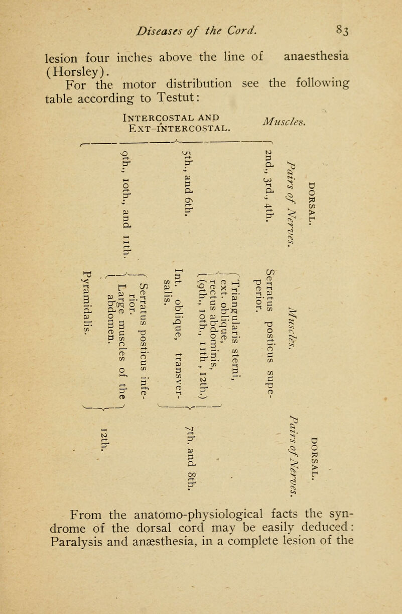 lesion four inches above the line of anaesthesia (Horsley). For the motor distribution see the following table according to Testut: Intercostal and ext-intercostal. Mtiscles. o ON to Cu ^ 3 /— 2 c n en o ' O in n ' o i=; 13 en < S- 2 X -1 Fp • J ^ S O ^ - o ?; ::. « 3 - ^ C/5 W fD o' ■1 CO re en T3 O en en en C n 3- S' From the anatomo-physiological facts the syn- drome of the dorsal cord may be easily deduced: Paralysis and anaesthesia, in a complete lesion of the