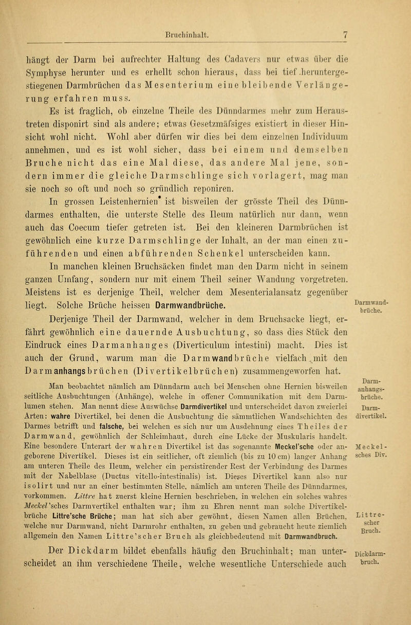 hängt der Darm bei aufrechter Haltung des Cadavers nur etwas über die Symphyse herunter und es erhellt schon hieraus, dass bei tief .herunterge- stiegenen Darmbrüchen d a s M e s e n t e r i u m e i u e b l e i b e n d e Verlänge- rung erfahren muss. Es ist fraglich, ob einzelne Theile des Dünndarmes mehr zum Heraus- treten disponirt sind als andere; etwas Gesetzmäfsiges existiert in dieser Hin- sicht wohl nicht. Wohl aber dürfen wir dies bei dem einzelnen Individuum annehmen, und es ist wohl sicher, dass bei einem und demselben Bruche nicht das eine Mal diese, das andere Mal jene, son- dern immer die gleiche Darm schlinge sich vor lagert, mag man sie noch so oft und noch so gründlich reponiren. In grossen Leistenhernien ist bisweilen der grösste Theil des Dünn- darmes enthalten, die unterste Stelle des Heum natürlich nur dann, wenn auch das Coecum tiefer getreten ist. Bei den kleineren Darmbrüchen ist gewöhnlich eine kurze Darmschlinge der Inhalt, an der man einen zu- führenden und einen abführenden Schenkel unterscheiden kann. In manchen kleinen Bruchsäcken findet man den Darm nicht in seinem ganzen Umfang, sondern nur mit einem Theil seiner Wandung vorgetreten. Meistens ist es derjenige Theil, welcher dem Mesenterialansatz gegenüber liegt. Solche Brüche heissen Darmwandbriiche. Derjenige Theil der Darmwand, welcher in dem Bruchsacke liegt, er- fährt gewöhnlich eine dauernde Ausbuchtung, so dass dies Stück den Eindruck eines Darmanhanges (Diverticulum intestini) macht. Dies ist auch der Grund, warum man die D arm wand brüche vielfach, mit den Darmanhangsbrüchen (Divertikelbrüchen) zusammengeworfen hat. Man beobachtet nämlich am Dünndarm auch bei Menschen ohne Hernien bisweilen seitliche Ausbuchtungen (Anhänge), welche in offener Communikation mit dem Darm- lumen stehen. Man nennt diese Auswüchse Darmdivertikel und unterscheidet davon zweierlei Arten: wahre Divertikel, bei denen die Ausbuchtung die sämmtlichen Wandschichten des Darmes betrifft und falsche, bei welchen es sich nur um Ausdehnung eines Theiles der Darmwand, gewöhnlich der Schleimhaut, durch eine Lücke der Muskularis handelt. Eine besondere Unterart der wahren Divertikel ist das sogenannte Meckersche oder an- geborene Divertikel. Dieses ist ein seitlicher, oft ziemlich (bis zu 10 cm) langer Anhang am unteren Theile des Ileum, welcher ein persistirender Kest der Verbindung des Darmes mit der Nabelblase (Ductus vitello-intestinalis) ist. Dieses Divertikel kann also nur isolirt und nur an einer bestimmten Stelle, nämlich am unteren Theile des Dünndarmes, vorkommen. Littre ha t zuerst kleine Hernien beschrieben, in welchen ein solches wahres JiecÄ;ersches Darravertikel enthalten war; ihm zu Ehren nennt man solche Divertikel- brüche Littre'sche Brüche; man hat sich aber gewöhnt, diesen Namen allen Brüchen, welche nur Darmwand, nicht Darmrohr enthalten, zu geben und gebraucht heute ziemlich allgemein den Namen Littre'scher Bruch als gleichbedeutend mit Darmwandbruch. Der Dickdarm bildet ebenfalls häufig den Bruchinhalt; man unter- scheidet an ihm verschiedene Theile, welche wesentliche Unterschiede auch Darmwand- brüche. Darm- anhangs- brüche. Darm- divertikel. Meckel - sches Div. Littre- scher Bruch. Dictdarm- hruch.