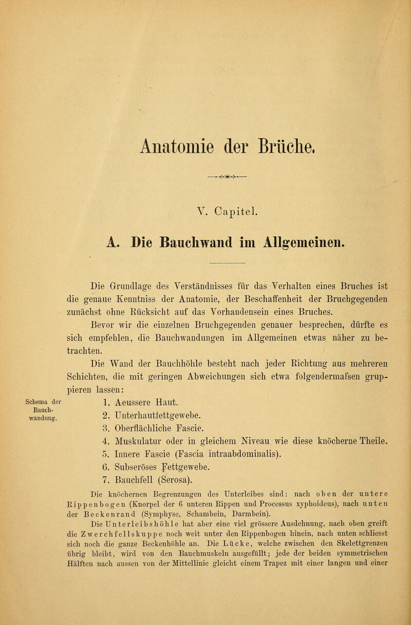 Anatomie der Brüclie. V. Capitel. A. Die Bauchwand im Allgemeinen. Die Grundlage des Verständnisses für das Verhalten eines Bruches ist die genaue Kenntniss der Anatomie, der Beschaffenheit der Bruchgegenden zunächst ohne Rücksicht auf das Vorhandensein eines Bruches. Bevor wir die einzelnen Bruchgegenden genauer besprechen, dürfte es sich empfehlen, die Bauchwandungen im Allgemeinen etwas näher zu be- trachten. Die Wand der Bauchhöhle besteht nach jeder Richtung aus mehreren Schichten, die mit geringen Abweichungen sich etwa folgendermafsen grup- pieren lassen: Schema der 1. AcUSSCre Haut. Wandung. 2. Unterhautfettgewebc. 3. Oberflächliche Eascie. 4. Muskulatur oder in gleichem Niveau wie diese knöcherne Theile. 5. Innere Fascie (Fascia intraabdominalis). 6. Subseröses Fettgewebe. 7. Bauchfell (Serosa). Die knöchernen Begrenzungen des Unterleibes sind: nach oben der untere Rippenbogen (Knorpel der 6 unteren Rippen und Processus xyphoideus), nach unten der Beckenrand (Symphyse, Schambein, Darmbein). Die Unterleibshöhle hat aber eine viel grössere Ausdehnung, nach oben greift die Zwerchfellskuppe noch weit unter den Rippenbogen hinein, nach unten schliesst sich noch die ganze Beckenhöhle an. Die Lücke, welche zwischen den Skelettgrenzen übrig bleibt, wird von den Bauchmuskeln ausgefüllt; jede der beiden symmetrischen Hälften nach aussen von der Mittellinie gleicht einem Trapez mit einer langen und einer