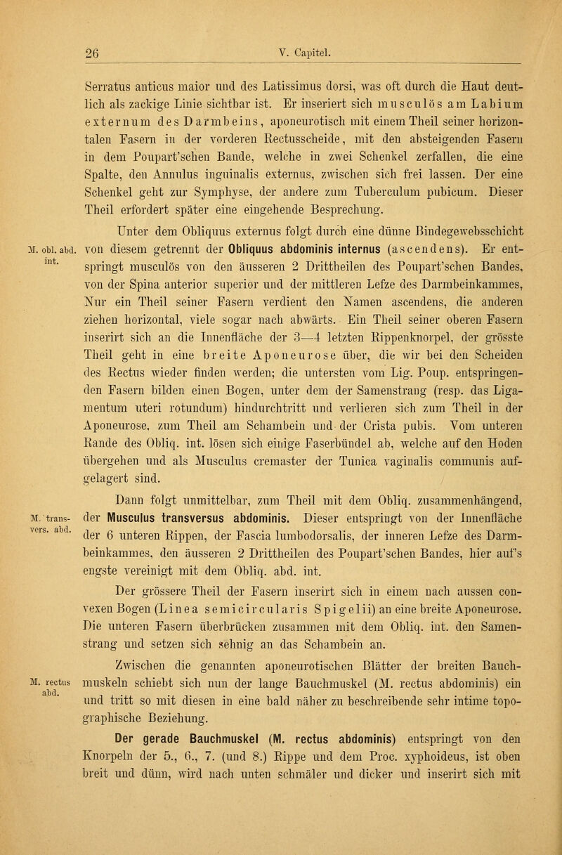 int. Serratus anticiis maior und des Latissimus dorsi, was oft durch die Haut deut- lich als zackige Linie sichtbar ist. Er inseriert sich musculös amLabium externum des Darmbeins, aponeurotisch mit einemTheil seiner horizon- talen Fasern in der vorderen Rectusscheide, mit den absteigenden Fasern in dem Poupart'schen Bande, welche in zwei Schenkel zerfallen, die eine Spalte, den Annulus inguinalis externus, zwischen sich frei lassen. Der eine Schenkel geht zur Symphyse, der andere zum Tuberculum pubicum. Dieser Theil erfordert später eine eingehende Besprechung, Unter dem Obliquus externus folgt durch eine dünne Bindegewebsschicht M. obi. abd. von diesem getrennt der Obliquus abdominis internus (ascendens). Er ent- springt musculös von den äusseren 2 Drittheilen des Poupart'schen Bandes, von der Spina anterior superior und der mittleren Lefze des Darmbeinkammes, Nur ein Theil seiner Fasern verdient den Namen ascendens, die anderen ziehen horizontal, viele sogar nach abwärts. Ein Theil seiner oberen Fasern inserirt sich an die Innenfläche der 3—4 letzten Eippenknorpel, der grösste Theil geht in eine breite Aponeurose über, die wir bei den Scheiden des Rectus wieder finden werden; die untersten vom Lig. Poup. entspringen- den Fasern bilden einen Bogen, unter dem der Samenstrang (resp. das Liga- mentum uteri rotundum) hindurchtritt und verlieren sich zum Theil in der Aponeurose, zum Theil am Schambein und der Crista pubis. Vom unteren Rande des Obliq. int. lösen sich einige Faserbündel ab, welche auf den Hoden übergehen und als Musculus cremaster der Tunica vaginalis communis auf- gelagert sind. Dann folgt unmittelbar, zum Theil mit dem Obliq. zusammenhängend, der Musculus transversus abdominis. Dieser entspringt von der Innenfläche der 6 unteren Rippen, der Fascia lumbodorsalis, der inneren Lefze des Darm- beinkammes, den äusseren 2 Drittheilen des Poupart'schen Bandes, hier auf's engste vereinigt mit dem Obliq. abd. int. Der grössere Theil der Fasern inserirt sich in einem nach aussen con- vexen Bogen (Linea s e m i c i r c u 1 a r i s S p i g e 1 i i) an eine breite Aponeurose. Die unteren Fasern überbrücken zusammen mit dem Obliq. int. den Samen- strang und setzen sich sehnig an das Schambein an. Zwischen die genannten aponeurotischen Blätter der breiten Bauch- M. rectus muskeln schiebt sich nun der lange Bauchmuskel (M. rectus abdominis) ein und tritt so mit diesen in eine bald näher zu beschreibende sehr intime topo- graphische Beziehung. Der gerade Bauchmuskel (M. rectus abdominis) entspringt von den Knorpeln der 5., 6., 7. (und 8.) Rippe und dem Proc. xyphoideus, ist oben breit und dünn, wird nach unten schmäler und dicker und inserirt sich mit M. trans- vers. abd.