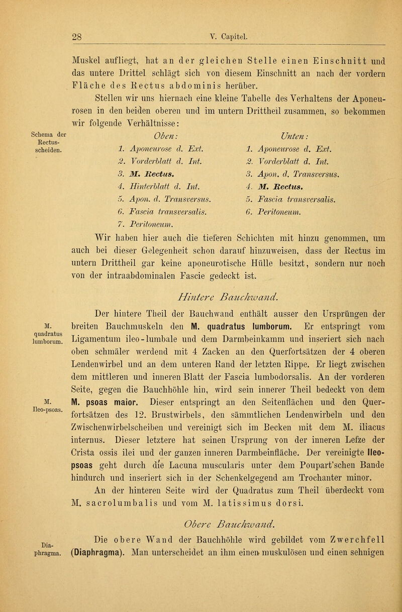 Muskel aufliegt, hat an der gleichen Stelle einen Einschnitt und das untere Drittel schlägt sich von diesem Einschnitt an nach der vordem Fläche des Eectus abdominis herüber. Stellen wir uns hiernach eine kleine Tabelle des Verhaltens der Aponeu- rosen in den beiden oberen und im untern Drittheil zusammen, so bekommen wir folgende Verhältnisse: Scliema der Kectns- scheiden. Unten : 1. Aponeurose d. Ext. 2. Vorderhlatt d. Int 3. Apon. d. Transversus. 4. M. Rectus. 5. Fascia transversalis. 6. Peritoneum. Oben: 1. Aponeurose d. Ext. 2. Vorderhlatt d. Int. 3. M, Rectus. 4. Hinterhlatt d. Int. 5. Apon. d. Transversus. 6. Fascia transversalis. 7. Peritoneum. Wir haben hier auch die tieferen Schichten mit hinzu genommen, um auch bei dieser Gelegenheit schon darauf hinzuweisen, dass der Rectus im untern Drittheil gar keine aponeurotische Hülle besitzt, sondern nur noch von der intraabdominalen Eascie gedeckt ist. Hintere Baucinvand. Der hintere Theil der Bauchwand enthält ausser den Ursprüngen der breiten Bauchmuskeln den M. quadratus lumborum. Er entspringt vom Ligamentum ileo-lumbale und dem Darmbeinkamm und inseriert sich nach oben schmäler werdend mit 4 Zacken an den Querfortsätzen der 4 oberen Lendenwirbel und an dem unteren Kand der letzten Rippe. Er liegt zwischen dem mittleren und inneren Blatt der Fascia lumbodorsalis. An der vorderen Seite, gegen die Bauchhöhle hin, wird sein innerer Theil bedeckt von dem M. psoas major. Dieser entspringt an den Seitenflächen und den Quer- fortsätzen des 12. Brustwirbels, den sämmtlichen Lendenwirbeln und den Zwischenwirbelscheiben und vereinigt sich im Becken mit dem M. iliacus internus. Dieser letztere hat seinen Ursprung von der inneren Lefze der Crista ossis ilei und der ganzen inneren Darmbeinfläche. Der vereinigte lleo- psoas geht durch die Lacuna muscularis unter dem Poupart'schen Bande hindurch und inseriert sich in der Schenkelgegend am Trochanter minor. An der hinteren Seite wird der Quadratus zum Theil überdeckt vom M. sacrolumbalis und vom M. latissimus dorsi. Obere BatLchwand. Die obere Wand der Bauchhöhle wird gebildet vom Zwerchfell phragma. (Diaphragma). Man unterscheidet an ihm einen- muskulösen und einen sehnigen M. quadratus lumborum. M. Ileo-psoas. Dia-