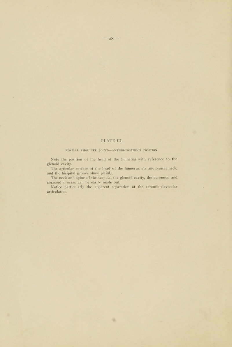 PLATE III. NOKMAI, SHori-IiER JOINT—AXTERU-rOSTERIOR POSITION. Note the position of the head of tlie hiiinenis with reference to the glenoid cavity. The articular surface of the head of the luinierus, its anotoniical neck, and the bicipital groove show plainly. The neck and spine of the scapula, the glenoid cavity, the acromion and coracoid process can be easily made out. Notice particularly the apparent separation at the acroniio-clavicular articulation