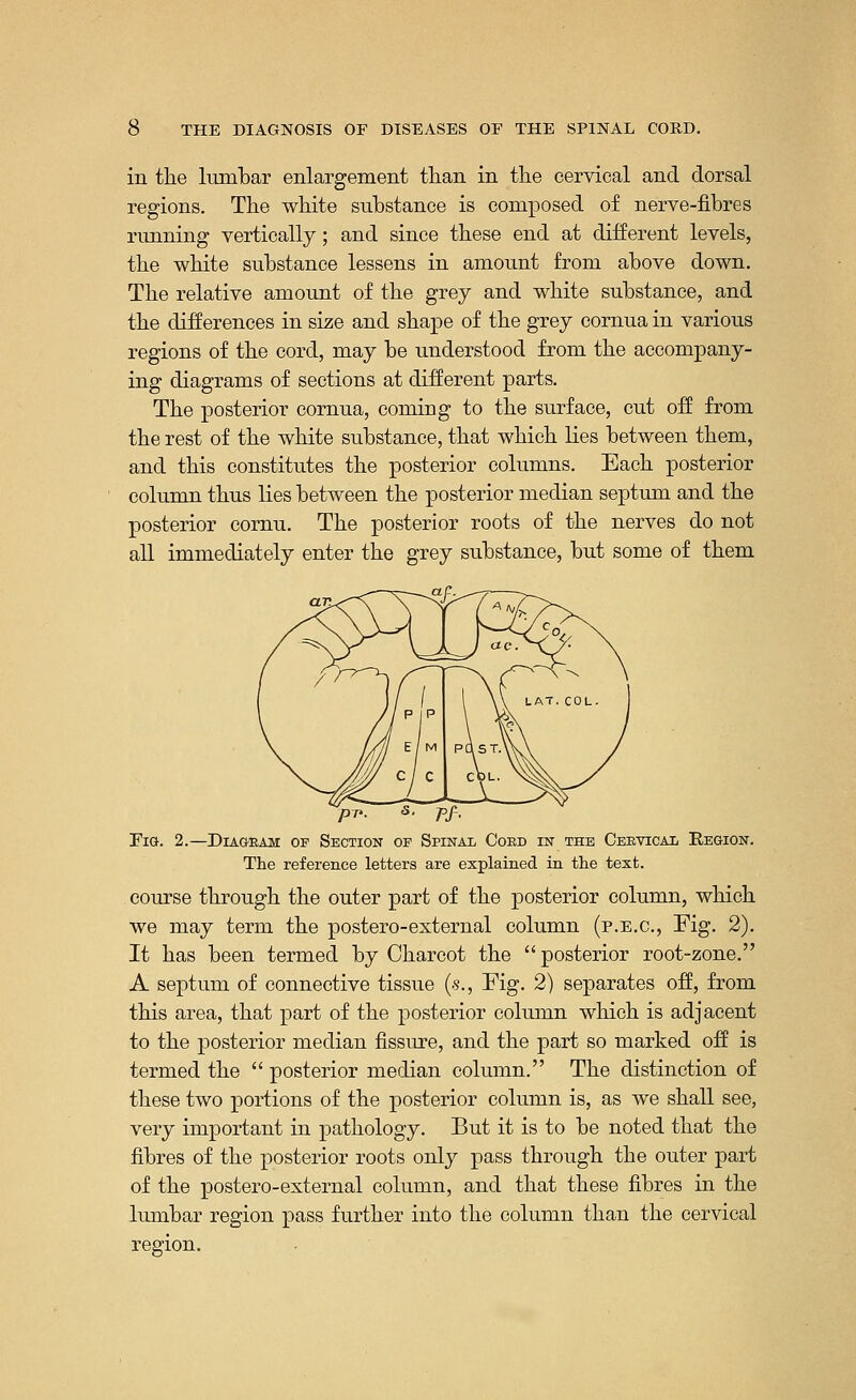 in the lumbar enlargement than in the cervical and dorsal regions. The white substance is composed of nerve-fibres running vertically; and since these end at different levels, the white substance lessens in amount from above down. The relative amount of the grey and white substance, and the differences in size and shape of the grey cornua in various regions of the cord, may be understood from the accompany- ing diagrams of sections at different parts. The posterior cornua, coming to the surface, cut off from the rest of the white substance, that which lies between them, and this constitutes the posterior columns. Each posterior column thus lies between the posterior median septum and the posterior cornu. The posterior roots of the nerves do not all immediately enter the grey substance, but some of them Fig. 2.—Diageam of Section op Spinal Coed in the Ceevical Region. The reference letters are explained in the text. course through the outer part of the posterior column, which we may term the postero-external column (p.e.c, Fig. 2). It has been termed by Charcot the  posterior root-zone. A septum of connective tissue (s., Fig. 2) separates off, from this area, that part of the posterior column which is adjacent to the posterior median fissure, and the part so marked off is termed the  posterior median column. The distinction of these two portions of the posterior column is, as we shall see, very important in pathology. But it is to be noted that the fibres of the posterior roots only pass through the outer part of the postero-external column, and that these fibres in the lumbar region pass further into the column than the cervical region.