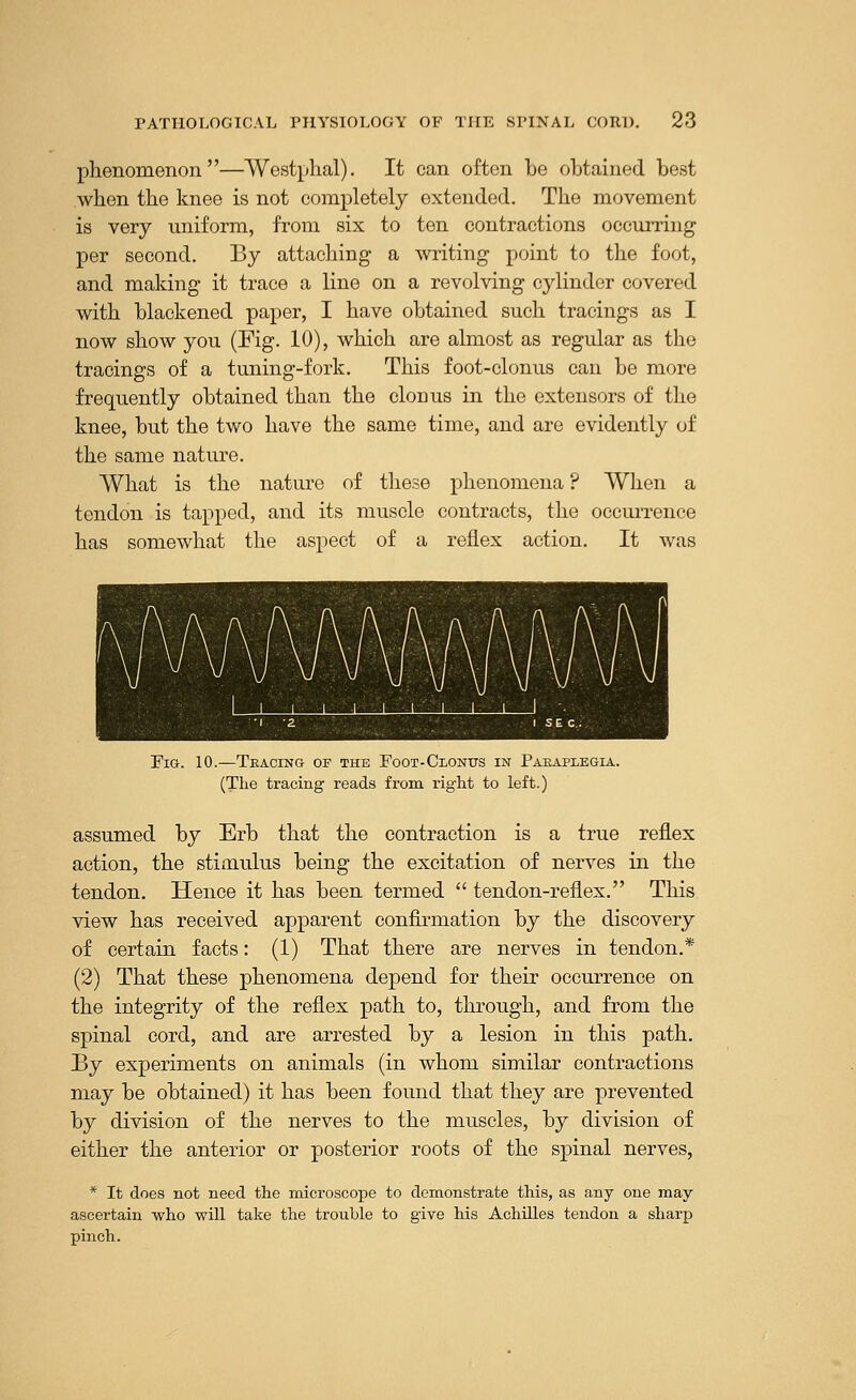 phenomenon—Westphal). It can often be obtained best when the knee is not completely extended. The movement is very uniform, from six to ten contractions occurring per second. By attaching a writing point to the foot, and making it trace a line on a revolving cylinder covered with blackened paper, I have obtained such tracings as I now show you (Fig. 10), which are almost as regular as the tracings of a tuning-fork. This foot-clonus can be more frequently obtained than the clonus in the extensors of the knee, but the two have the same time, and are evidently of the same nature. What is the nature of these phenomena ? When a tendon is tapped, and its muscle contracts, the occurrence has somewhat the aspect of a reflex action. It was Fig. 10.—Tbacing of the Foot-Clonus in Paraplegia. (The tracing reads from right to left.) assumed by Erb that the contraction is a true reflex action, the stimulus being the excitation of nerves in the tendon. Hence it has been termed  tendon-reflex. This view has received apparent confirmation by the discovery of certain facts: (1) That there are nerves in tendon.* (2) That these phenomena depend for their occurrence on the integrity of the reflex path to, through, and from the spinal cord, and are arrested by a lesion in this path. By experiments on animals (in whom similar contractions may be obtained) it has been found that they are prevented by division of the nerves to the muscles, by division of either the anterior or posterior roots of the spinal nerves, * It does not need the microscope to demonstrate this, as any one may- ascertain who will take the trouble to give his Achilles tendon a sharp pinch.