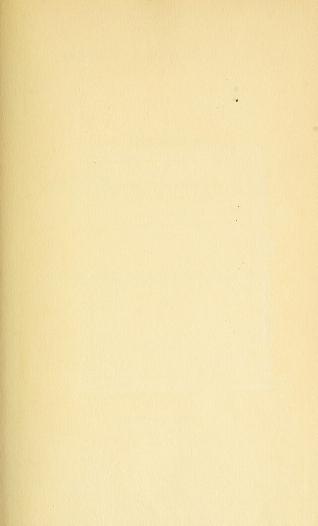digitised image 3