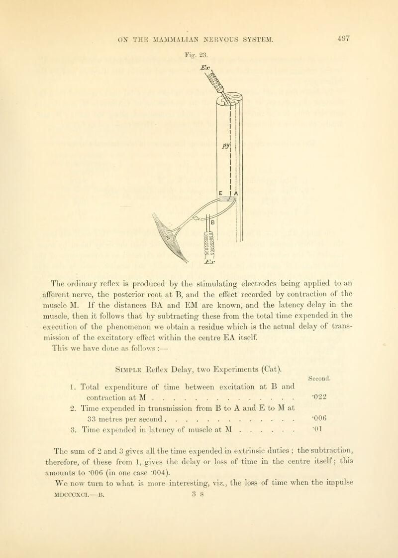 JEae The ordinary reflex is produced by the stimulating electrodes being applied to an afferent nerve, the posterior root at B, and the effect recorded by contraction of the muscle M. If the distances BA and EM are known, and the latency delay in the muscle, then it follows that by subtracting these from the total time expended in the execution of the phenomenon we obtain a residue which is the actual delay of trans- mission of the excitatory effect within the centre EA itself. This we have done as follows :— Simple Reflex Delay, two Experiments (Cat). Second. 1. Total expenditure of time between excitation at B and contraction at M 022 2. Time expended in transmission from B to A and E to M at 38 metres per second '006 3. Time expended in latency of muscle at M 01 The sum of 2 and 3 gives all the time expended in extrinsic duties ; the subtraction, therefore, of these from 1, gives the delay or loss of time in the centre itself; this amounts to '006 (in one case '004). We now turn to what is more interesting, viz., the loss of time when the impulse MDCCCXCI.—B. 3 S