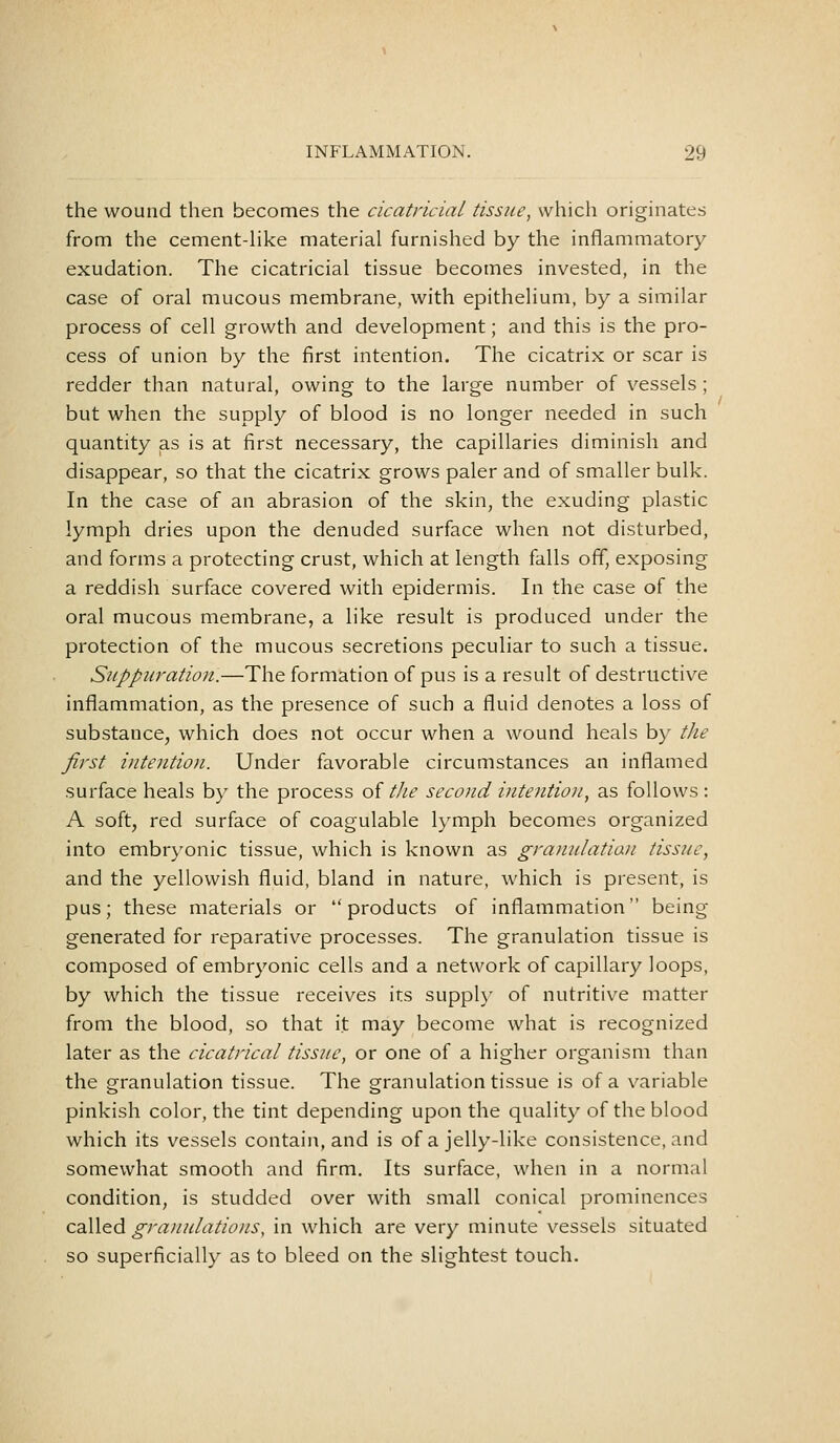 the wound then becomes the cicatricial tissue, which originates from the cement-hke material furnished by the inflammatory exudation. The cicatricial tissue becomes invested, in the case of oral mucous membrane, with epithelium, by a similar process of cell growth and development; and this is the pro- cess of union by the first intention. The cicatrix or scar is redder than natural, owing to the large number of vessels ; but when the supply of blood is no longer needed in such quantity as is at first necessary, the capillaries diminish and disappear, so that the cicatrix grows paler and of smaller bulk. In the case of an abrasion of the skin, the exuding plastic lymph dries upon the denuded surface when not disturbed, and forms a protecting crust, which at length falls off, exposing a reddish surface covered with epidermis. In the case of the oral mucous membrane, a like result is produced under the protection of the mucous secretions peculiar to such a tissue. Suppuration.—The formation of pus is a result of destructive inflammation, as the presence of such a fluid denotes a loss of substance, which does not occur when a wound heals by tlie first iiitentiofi. Under favorable circumstances an inflamed surface heals by the process oi tlie secoiid intention, as follows : A soft, red surface of coagulable lymph becomes organized into embryonic tissue, which is known as grannlatian tissue, and the yellowish fluid, bland in nature, which is present, is pus; these materials or products of inflammation being generated for reparative processes. The granulation tissue is composed of embryonic cells and a network of capillary loops, by which the tissue receives its supph' of nutritive matter from the blood, so that it may become what is recognized later as the cicatrical tissue, or one of a higher organism than the granulation tissue. The granulation tissue is of a variable pinkish color, the tint depending upon the quality of the blood which its vessels contain, and is of a jelly-like consistence, and somewhat smooth and firm. Its surface, when in a normal condition, is studded over with small conical prominences called granulations, in which are very minute vessels situated so superficially as to bleed on the slightest touch.