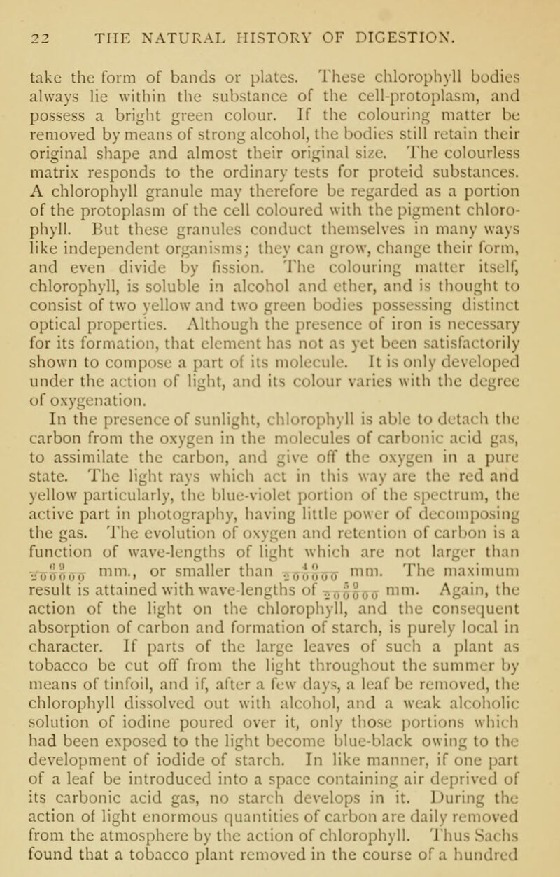 take the form of bands or plates. These chlorophyll bodies always lie within the substance of the cell-protoplasm, and possess a bright green colour. If the colouring matter be removed by means of strong alcohol, the bodies still retain their original shape and almost their original size. The colourless matrix responds to the ordinary tests for proteid substances. A chlorophyll granule may therefore be regarded as a portion of the protoplasm of the cell coloured with the pigment chloro- phyll. But these granules conduct themselves in many ways like independent organisms; they can grow, change their form, and even divide by fission. The colouring matter itself, chlorophyll, is soluble in alcohol and ether, and is thought to consist of two yellow and two green bodies possessing distinct optical properties. Although the pr f iron is nec< ssary for its formation, that element has not as yet been satisfactorily shown to compose a part of its molecule. It is only developed under the action of light, and its colour varies with the degree of oxygenation. In the presence of sunlight, chlorophyll is able to d< tach the carbon from t :i in the molecules of carbonic ai id to assimilate the carbon, and give off the oxygen in a purr state. The light rays which act in this way are the red and yellow particularly, the blue-violet portion of the spectrum, the active part in photography, having little power of decomposing the gas. The evolution of oxygen and retention of carbon is a function of wave-lengths of light which are not larger than ■j.mm'mmi mm., or smaller than ._,,,,',;;,,,, mm. The maximum result is attained with wave-lengths of ._,,,;,',,,,, mm. Again, the action of the light on the chlorophyll, and the consequent absorption of carhon and formation of starch, is purely local in character. If parts of the large leaves of such a plant as tobacco be cut off from the light throughout the summer by means of tinfoil, and if, after a few days, a leaf be removed, the chlorophyll dissolved out with alcohol, and a weak alcoholic solution of iodine poured over it, only those portions whi< h had been exposed to the light become blue-black owing to the development of iodide of starch. In like manner, if one part of a leaf be introduced into a space containing air deprived of its carbonic acid gas, no starch develops in it. During the action of light enormous quantities of carbon are daily removed from the atmosphere by the action of chlorophyll. Thus Sachs found that a tobacco plant removed in the course of a hundred