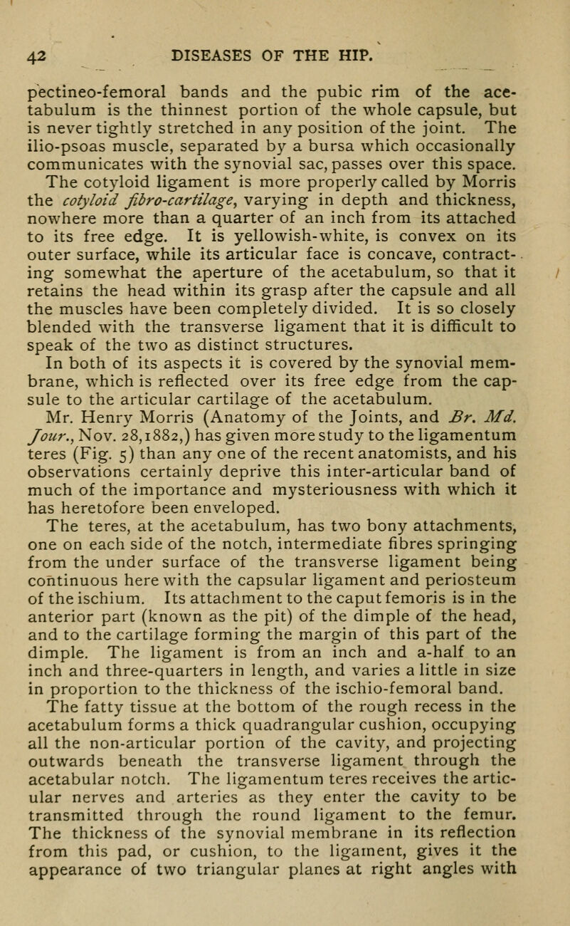 pectineo-femoral bands and the pubic rim of the ace- tabulum is the thinnest portion of the whole capsule, but is never tightly stretched in any position of the joint. The ilio-psoas muscle, separated by a bursa which occasionally communicates with the synovial sac, passes over this space. The cotyloid ligament is more properly called by Morris the cotyloid fibro-cartilage^ varying in depth and thickness, nowhere more than a quarter of an inch from its attached to its free edge. It is yellowish-white, is convex on its outer surface, while its articular face is concave, contract- ing somewhat the aperture of the acetabulum, so that it retains the head within its grasp after the capsule and all the muscles have been completely divided. It is so closely blended with the transverse ligament that it is difficult to speak of the two as distinct structures. In both of its aspects it is covered by the synovial mem- brane, which is reflected over its free edge from the cap- sule to the articular cartilage of the acetabulum. Mr. Henry Morris (Anatomy of the Joints, and Br. Md. Jour., Nov. 28,1882,) has given more study to the ligamentum teres (Fig. 5) than any one of the recent anatomists, and his observations certainly deprive this inter-articular band of much of the importance and mysteriousness with which it has heretofore been enveloped. The teres, at the acetabulum, has two bony attachments, one on each side of the notch, intermediate fibres springing from the under surface of the transverse ligament being continuous herewith the capsular ligament and periosteum of the ischium. Its attachment to the caput femoris is in the anterior part (known as the pit) of the dimple of the head, and to the cartilage forming the margin of this part of the dimple. The ligament is from an inch and a-half to an inch and three-quarters in length, and varies a little in size in proportion to the thickness of the ischio-femoral band. The fatty tissue at the bottom of the rough recess in the acetabulum forms a thick quadrangular cushion, occupying all the non-articular portion of the cavity, and projecting outwards beneath the transverse ligament through the acetabular notch. The ligamentum teres receives the artic- ular nerves and arteries as they enter the cavity to be transmitted through the round ligament to the femur. The thickness of the synovial membrane in its reflection from this pad, or cushion, to the ligament, gives it the appearance of two triangular planes at right angles with