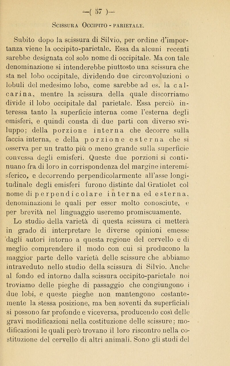 Scissura Occipito - parietale. Subito dopo la scissura di Silvio, per ordine d'impor- tanza viene la occipito-parietale. Essa da alcuni recenti sarebbe designata col solo nome di occipitale. Ma con tale denominazione si intenderebbe piuttosto una scissura che sta nel lobo occipitale, dividendo due circonvoluzioni o lobuli del medesimo lobo, come sarebbe ad es. la cai- carina, mentre la scissura della quale discorriamo divide il lobo occipitale dal parietale. Essa perciò in- teressa tanto la superficie interna come l'esterna degli emisferi, e quindi consta di due parti con diverso svi- luppo; della porzione interna che decorre sulla faccia interna, e della porzione esterna che si osserva per un tratto più. o meno grande sulla superfìcie convessa degli emisferi. Queste due porzioni si conti- nuano fra di loro in corrispondenza del margine interemi- sferico^ e decorrendo perpendicolarmente all'asse longi- tudinale degli emisferi furono distinte dal Gratiolet col nome di perpendicolare interna ed esterna, denominazioni le quali per esser molto conosciute, e per brevità nel linguaggio useremo promiscuamente. Lo studio delia varietà di questa scissura ci metterà in grado di interpretare le diverse opinioni emesse dagli autori intorno a questa regione del cervello e di meglio comprendere il modo con cui si producono la maggior parte delle varietà delle scissure che abbiamo intraveduto nello studio della scissura di Silvio. Anche al fondo ed intorno dalla scissura occipito-parietale noi troviamo delle pieghe di passaggio che congiungono i due lobi, e queste pieghe non mantengono costante- mente la stessa posizione, ma ben soventi da superficiali si possono far profonde e viceversa, producendo così delle gravi modificazioni nella costituzione delle scissure; mo- dificazioni le quali però trovano il loro riscontro nella co- stituzione del cervello di altri animali. Sono gli studi del