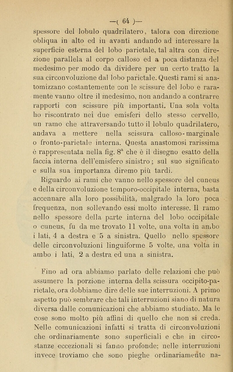 spessore del lobulo quadrilatero, talora con direzione obliqua in alto ed in avanti andando ad interessare la superficie esterna del lobo parietale, tal altra con dire- zione parallela al corpo calloso ed a poca distanza del medesimo per modo da dividere per un certo tratto la sua circonvoluzione dal lobo parietale. Questi rami si ana- tomizzano costantemente con le scissure del lobo e rara- mente vanno oltre il medesimo, non andando a contrarre rapporti con scissure più importanti. Una sola volta ho riscontrato nei due emisferi dello stesso cervello, un ramo che attraversando tutto il lobulo quadrilatero, andava a mettere nella scissura calloso-marginale 0 fronte-parietale interna. Questa anastomosi rarissima è rappresentata nella fig. 8^ che è il disegno esatto della faccia interna dell'emisfero sinistro ; sul suo significato e sulla sua importanza diremo più tardi. Riguardo ai rami che vanno nello spessore del cuneus e della circonvoluzione tempore-occipitale interna, basta accennare alla loro possibilità, malgrado la loro poca frequenza, non sollevando essi molto interesse. Il ramo nello spessore della parte interna del lobo occipitale o cuneus, fu da me trovato 11 volte, una volta in ambo i lati, 4 a destra e 5 a sinistra. Quello nello spessore delle circonvoluzioni linguiforme 5 volte, una volta in ambo i lati, 2 a destra ed una a sinistra. Fino ad ora abbiamo parlato delle relazioni che può assumere la porzione interna della scissura occipito-pa- rietale, ora dobbiamo dire delle sue interruzioni. A primo aspetto può sembrare che tali interruzioni siano di natura diversa dalle comunicazioni che abbiamo studiato. Ma le cose sono molto più affini di quello che non si creda. Nelle comunicazioni infatti si tratta di circonvoluzioni che ordinariamente sono superficiali e che in circo- stanze eccezionali si fanno profonde; nelle interruzioni invece troviamo che sono pieghe ordinariamente na-