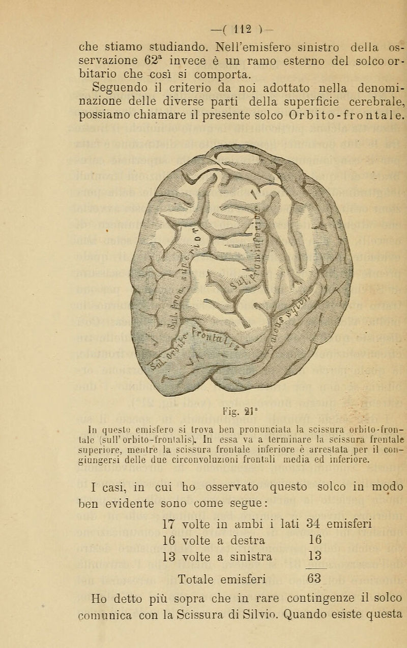 che stiamo studiando. Nell'emisfero sinistro della os- servazione 62^ invece è un ramo esterno del solco or- bitario che così si comporta. Seguendo il criterio da noi adottato nella denonai- nazione delle diverse parti della superficie cerebrale, possiamo chiamare il presente solco Orbito-frontale. Fig. %r 111 questi) emisfero si trova ben pronunciata la scissura oibilo-fron- lalc JsuH'orbilo-fronlalis). In essa va a terminare la scissura frontale superiore, mentre la scissura frontale inferiore è arrestata per il con- siungersi delle due circonvoluzioni frontali media ed inferiore. I casi, in cui ho osservato questo solco in modo ben evidente sono come segue : 17 volte in ambi i lati 34 emisferi 16 volte a destra 16 13 volte a sinistra 13 Totale emisferi 63 Ho detto più sopra che in rare contingenze il solco conumica con la Scissura di Silvio. Quando esiste questa