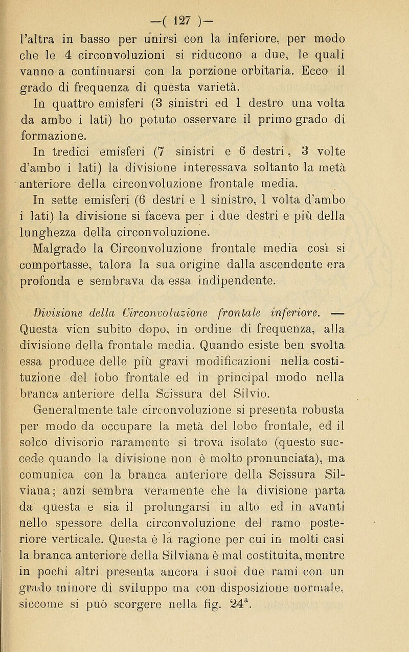 l'altra in basso per unirsi con la inferiore, per modo che le 4 circonvoluzioni si riducono a due, le quali vanno a continuarsi con la porzione orbitaria. Ecco il grado di frequenza di questa varietà. In quattro emisferi (3 sinistri ed 1 destro una volta da ambo i lati) ho potuto osservare il primo grado di formazione. In tredici emisferi (7 sinistri e 6 destri, 3 volte d'ambo i lati) la divisione interessava soltanto la metà anteriore della circonvoluzione frontale media. In sette emisferi (6 destri e 1 sinistro, 1 volta d'ambo i lati) la divisione si faceva per i due destri e piìi della lunghezza della circonvoluzione. Malgrado la Circonvoluzione frontale media così si comportasse, talora la sua origine dalla ascendente era profonda e sembrava da essa indipendente. Divisione della Circonvoluzione frontale inferiore. — Questa vien subito dopo, in ordine di frequenza, alla divisione della frontale media. Quando esiste ben svolta essa produce delle più gravi modificazioni nella costi- tuzione del lobo frontale ed in principal modo nella branca anteriore della Scissura del Silvio. Generalmente tale circonvoluzione si presenta robusta per modo da occupare la metà del lobo frontale, ed il solco divisorio raramente si trova isolato (questo suc- cede quando la divisione non è molto pronunciata), ma comunica con la branca anteriore della Scissura Sil- viana; anzi sembra veramente che la divisione parta da questa e sia il prolungarsi in alto ed in avanti nello spessore della circonvoluzione del ramo poste- riore verticale. Questa è la ragione per cui in molti casi la branca anteriore della Silviana è mal costituita, mentre in pochi altri presenta ancora i suoi due rami con un grado minore di sviluppo ma con disposizione normale, siccome si può scorgere nella fig. 24**.