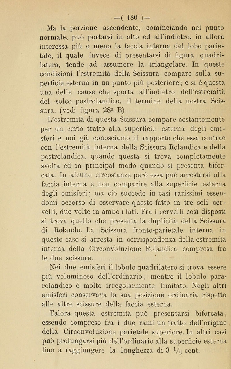 Ma la porzione ascendente, cominciando nel punto normale, può portarsi in alto ed all'indietro, in allora interessa più o meno la faccia interna del lobo parie- tale, il quale invece di presentarsi di figura quadri- latera, tende ad assumere la triangolare. In queste condizioni l'estremità della Scissura compare sulla su- perficie esterna in un punto più posteriore; e si è questa una delle cause che sporta all'indietro dell'estremità del solco postrolandico, il termine della nostra Scis- sura, (vedi figura 28^ B) L'estremità di questa Scissura compare costantemente per un certo tratto alla superficie esterna degli emi- sferi e noi già conosciamo il rapporto che essa contrae con Testremità interna della Scissura Rolandica e della postrolandica, quando questa si trova completamente svolta ed in principal modo quando si presenta bifor- cata. In alcune circostanze però essa può arrestarsi alla faccia interna e non comparire alla superficie esterna degli emisferi; ma ciò succede in casi rarissimi essen- domi occorso di osservare questo fatto in tre soli cer- velli, due volte in ambo i lati. Fra i cervelli così disposti si trova quello che presenta la duplicità della Scissura di Roiando. La Scissura fronto-parietale interna in questo caso si arresta in corrispondenza della estremità interna della Circonvoluzione Rolandica compresa fra le due scissure. Nei due emisferi il lobulo quadrilatero si trova essere più voluminoso dell'ordinario, mentre il lobulo para- rolandico è molto irregolarmente limitato. Negli altri emisferi conservava la sua posizione ordinaria rispetto alle altre scissure della faccia esterna. Talora c[uesta estremità può presentarsi biforcata, essendo compreso fra i due rami un tratto dell'origine della Circonvoluzione parietale superiore. In altri casi può prolungarsi più dell'ordinario alla superficie esterna fino a raggiungere la lunghezza di 3 Va cent.