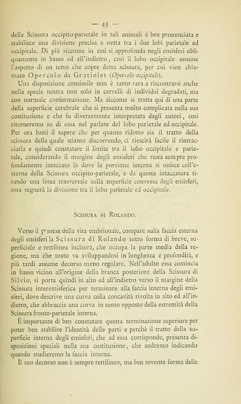 della Scissura occipito-pàrietale in tali animali è ben pronunciata e stabilisce una divisione precisa e netta tra i due lobi parietale ed occipitale. Di più siccome in essi si approfonda negli emisferi obli- quamente in basso ed all'indietro, cosi il lobo occipitale assume l'aspetto di un tetto che copre detta scissura, per cui vien chia- mato Opercolo da Gratiolet (Opercolo occipitale). Una disposizione consimile non è tanto rara a riscontrarsi anche nella specie nostra non solo in cervelli di individui degradati, ma con normale conformazione. Ma siccome si tratta qui di una parte della superfìcie cerebrale che si presenta molto complicata nella sua costituzione e che fu diversamente interpretata dagli autori, così ritorneremo su di essa nel parlare del lobo parietale ed occipitale. Per ora basti il sapere che per quanto ridotto sia il tratto della scissura della quale stiamo discorrendo, ci riescirà facile il rintrac- ciarla e quindi constatare il limite tra il lobo occipitale e parie- tale, considerando il margine degli emisferi che resta sem pre pro- fondamente intaccato là dove la porzione interna si unisce coll'e- sterna della Scissura occipito-pàrietale, e da questa intaccatura ti- rando una linea trasversale sulla superfìcie convessa degli emisferi, essa segnerà la divisione tra il lobo parietale ed occipitale. Scissura di Rolando. Verso il 5° mese della vita embrionale, compare sulla faccia esterna degli emisferi la Scissura di Rolando sotto forma di breve, su- perficiale e rettilinea incisura, che occupa la parte media della re- gione, ma che tosto va sviluppandosi in lunghezza e profondità, e più tardi assume decorso meno regolare. Nell'adulto essa comincia in basso vicino all'origine della branca posteriore della Scissura di Silvio, si porta quindi in alto ed all'indietro verso il margine della Scissura interemisferica per terminare alla faccia interna degli emi- sferi, dove descrive una curva colla concavità rivolta in alto ed all'in- dietro, che abbraccia una curva in senso opposto della estremità della Scissura fronto-parietale interna. È importante di ben constatare questa terminazione superiore per poter ben stabilire l'identità delle parti e perchè il tratto della su- perficie interna degli emisferi, che ad essa corrisponde, presenta di- sposizioni speciali nella sua costituzione, che andremo indicando quando studieremo la faccia interna. Il suo decorso non è sempre rettilineo, ma ben sovente forma delle