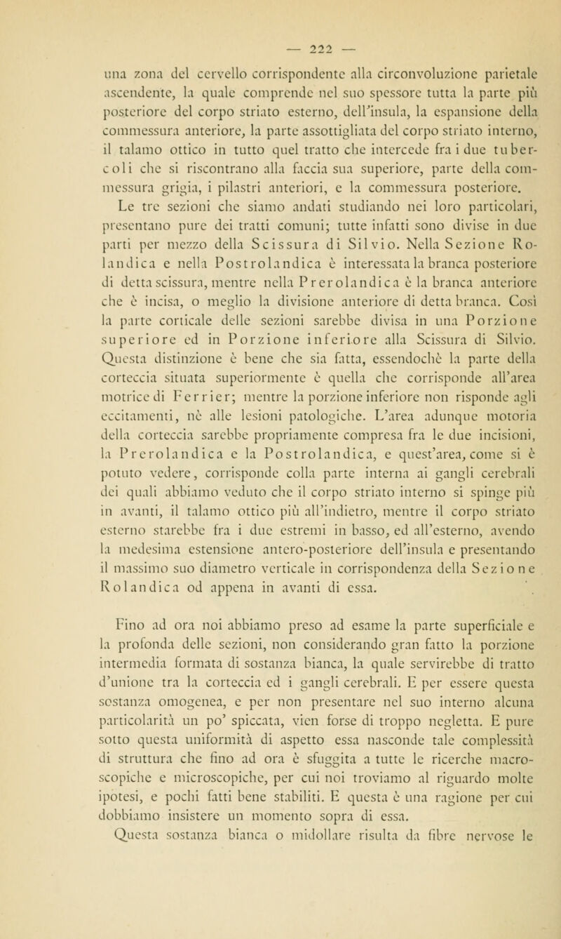 una zona del cervello corrispondente alla circonvoluzione parietale ascendente, la quale comprende nel suo spessore tutta la parte più posteriore del corpo striato esterno, dell'insula, la espansione della commessura anteriore, la parte assottigliata del corpo striato interno, il talamo ottico in tutto quel tratto che intercede fra i due tuber- coli che si riscontrano alla ùccia sua supcriore, parte della com- messura grigia, i pilastri anteriori, e la commessura posteriore. Le tre sezioni che siamo andati studiando nei loro particolari, presentano pure dei tratti comuni; tutte infatti sono divise in due parti per mezzo della Scissura di Silvio. Nella Sezione Ro- landica e nella Postrolandica è interessata la branca posteriore di detta scissura, mentre nella Prerolandica è la branca anteriore che è incisa, o meglio la divisione anteriore di detta branca. Così la parte corticale delle sezioni sarebbe divisa in una Porzione superiore ed in Porzione inferiore alla Scissura di Silvio. Questa distinzione è bene che sia fatta, essendoché la parte della corteccia situata superiormente è quella che corrisponde all'area motrice di Ferrier; mentre la porzione inferiore non risponde agli eccitamenti, nò alle lesioni patologiche. L'area adunque motoria della corteccia sarebbe propriamente compresa fra le due incisioni, la Prerolandica e la Postrolandica, e quest'area, come si è potuto vedere, corrisponde colla parte interna ai gangli cerebrali dei quali abbiamo veduto che il corpo striato interno si spinge più in avanti, il talamo ottico più all'indictro, mentre il corpo striato esterno starebbe fra i due estremi in basso, ed all'esterno, avendo la medesima estensione antero-posteriore dell'insula e presentando il massimo suo diametro verticale in corrispondenza della Sezione Rolandica od appena in avanti di essa. Fino ad ora noi abbiamo preso ad esame la parte superficiale e la profonda delle sezioni, non considerando gran fatto la porzione intermedia formata di sostanza bianca, la quale servirebbe di tratto d'unione tra la corteccia ed i gangli cerebrali. E per essere questa sostanza omogenea, e per non presentare nel suo interno alcuna particolarità un po' spiccata, vicn forse di troppo negletta. E pure sotto questa uniformità di aspetto essa nasconde tale complessità di struttura che fino ad ora è sfuggita a tutte le ricerche macro- scopiche e microscopiche, per cui noi troviamo al riguardo molte ipotesi, e pochi fatti bene stabiliti. E questa è una ragione per cui dobbiamo insistere un momento sopra di essa. Questa sostanza bianca o midollare risulta da fibre nervose le