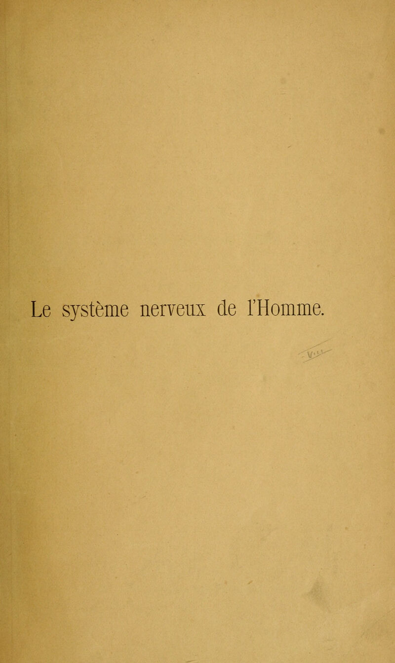 Le système nerveux de l'Homme.