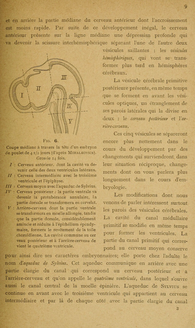 et en arrière la partie médiane du cerveau antérieur dont l'accroissement est moins rapide. Par suite de ce développement inég'al, le cerceau antérieur présente sur la ligne médiane une dépressisn profonde qui va devenir la scissure interhémisphérique séparant l'une de l'autre deux vésicules saillantes : les vésicules hémisphériques, qui vont se trans- former plus tard en hémisphères cérébraux. La vésicule cérébrale primitive postérieure présente, en même temps que se forment en avant les vési- cules optiques, un étranglement de ses parois latéi^ales qui la divise en deux : le cerveau postérieur et Var- rière-cerveau. Ces cinq vésicules se sépareront encore plus nettement dans le cours du développement par des changements qui surviendront dans leur situation réciproque, change- ments dont on vous parlera plus longuement dans le cours d'em- brj'ologie. Les modifications dont nous venons de parler intéressent surtout les parois des vésicules cérébrales. La cavité du canal médullaire primitif se modifie en même temps pour former les ventricules. La partie du canal primitif qui corres- FiG. 6. Coupe médiane à travers la tète d'un embryon de poulet de 4 1/2 jours (d'après Mihalkovics). Grossie 14 fois. Cerveau antérieur, dont la cavité va de- venir celle des deux ventricules latéraux. Cerveau intermédiaire avec le troisième ventricule et Tépiphyse. Cerveau moyen avec laqueduc de Sylvius. Cerveau postérieur ; la partie ventrale va devenir la protubérance annulaire, la partie dorsale se transformera en cenelet. Arrière-cerveau dont la partie ventrale se transformera en moelle allongée, tandis que la partie dorsale, considérablement amincie et réduite à l'épithélium épendy- maire, formera le revêtement de la toile choroïdienne. La cavité commune au cer veau postérieur et à l'arrière-cerveau de vient le quatrième ventricule. / // /// IV V : pond au cen'eau moyen conser^-e pour ainsi dire ses caractères embryonnaires; elle porte chez l'adulte le nom d'aqueduc de Sylvius. Cet aqueduc communique en arrière avec une partie élargie du canal qui correspond au cerveau postérieur et à l'arrière-cerveau et qu'on appelle le quatrième ventricule, dans lequel s'ouvre aussi le canal central de la moelle épinière. L'aqueduc de Sylvius se continue en avant avec le troisième ventricule qui appartient au cerveau intermédiaire et par là de chaque côté avec la partie élargie du canal 3