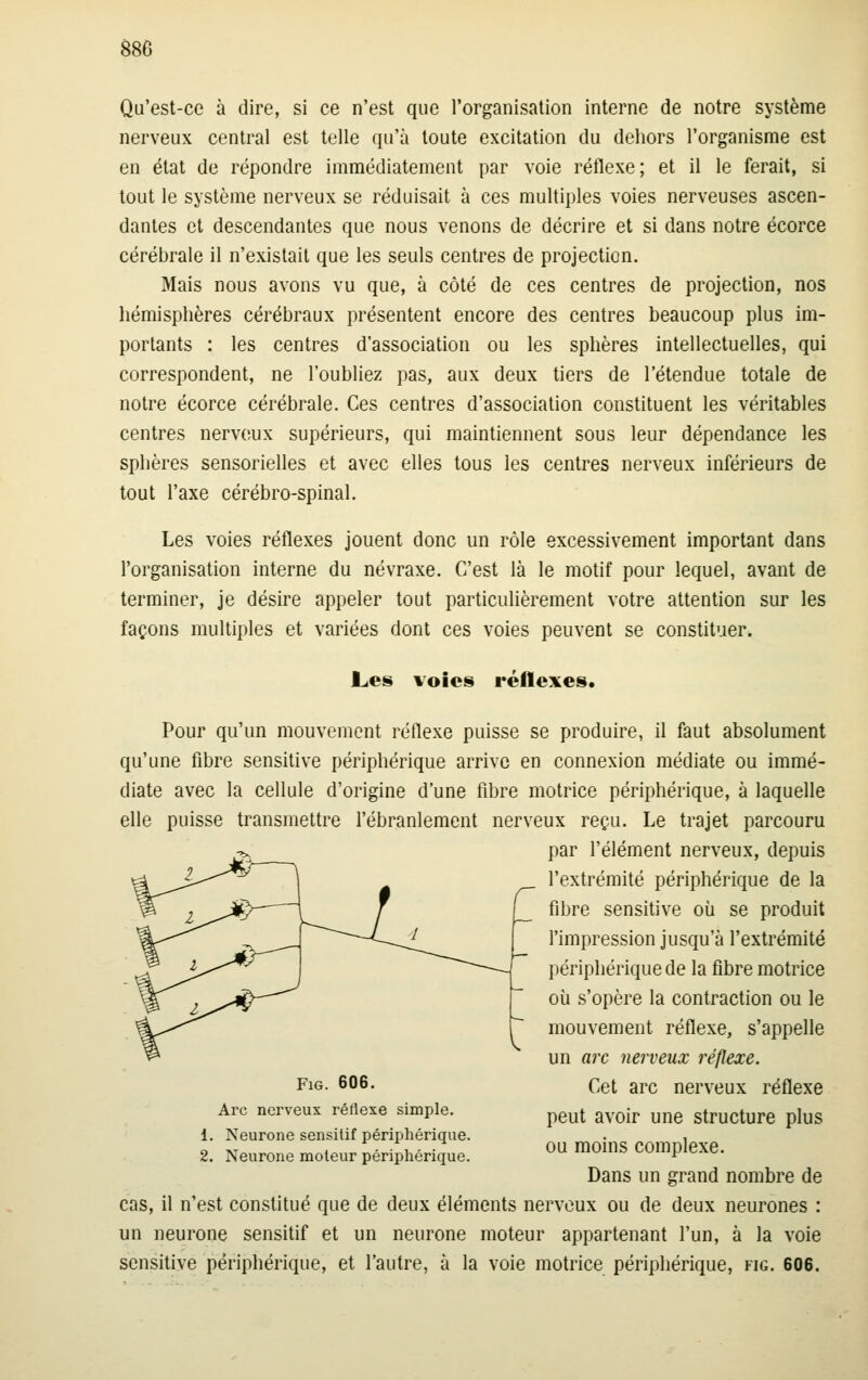 Qu'est-ce à dire, si ce n'est que l'organisation interne de notre système nerveux central est telle qu'à toute excitation du dehors l'organisme est en état de répondre immédiatement par voie réflexe; et il le ferait, si tout le système nerveux se réduisait à ces multiples voies nerveuses ascen- dantes et descendantes que nous venons de décrire et si dans notre écorce cérébrale il n'existait que les seuls centres de projection. Mais nous avons vu que, à côté de ces centres de projection, nos hémisphères cérébraux présentent encore des centres beaucoup plus im- portants : les centres d'association ou les sphères intellectuelles, qui correspondent, ne l'oubliez pas, aux deux tiers de l'étendue totale de notre écorce cérébrale. Ces centres d'association constituent les véritables centres nerveux supérieurs, qui maintiennent sous leur dépendance les sphères sensorielles et avec elles tous les centres nerveux inférieurs de tout l'axe cérébro-spinal. Les voies réflexes jouent donc un rôle excessivement important dans l'organisation interne du névraxe. C'est là le motif pour lequel, avant de terminer, je désire appeler tout particulièrement votre attention sur les façons multiples et variées dont ces voies peuvent se constituer. JLes voies réflexes. Pour qu'un mouvement réflexe puisse se produire, il faut absolument qu'une fibre sensitive périphérique arrive en connexion médiate ou immé- diate avec la cellule d'origine d'une fibre motrice périphérique, à laquelle elle puisse transmettre l'ébranlement nerveux reçu. Le trajet parcouru par l'élément nerveux, depuis l'extrémité périphérique de la fibre sensitive où se produit l'impression jusqu'à l'extrémité périphérique de la fibre motrice où s'opère la contraction ou le mouvement réflexe, s'appelle un arc nerveux réflexe. Cet arc nerveux réflexe peut avoir une structure plus ou moins complexe. Dans un grand nombre de cas, il n'est constitué que de deux éléments nerveux ou de deux neurones : un neurone sensitif et un neurone moteur appartenant l'un, à la voie sensitive périphérique, et l'autre, à la voie motrice périphérique, fig. 606. FiG. 606. Arc nerveux réflexe simple. 1. Neurone sensitif périphérique. 2. Neurone moteur périphérique.