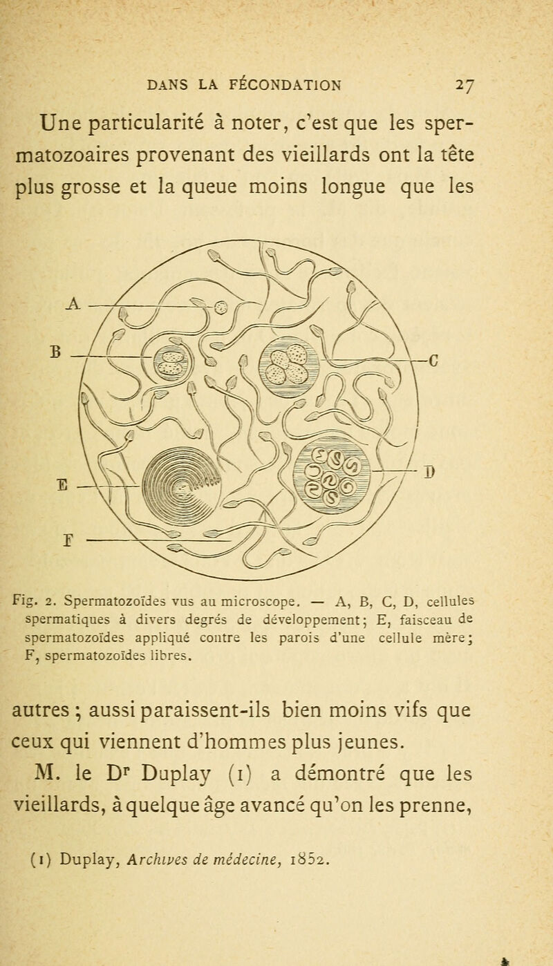 Une particularité à noter, c'est que les sper- matozoaires provenant des vieillards ont la tête plus grosse et la queue moins longue que les Fig. 2. Spermatozoïdes vus au microscope, — A, B, C, D, cellules spermatiques à divers degrés de développement; E, faisceau de spermatozoïdes appliqué contre les parois d'une cellule mère; F, spermatozoïdes libres. autres ; aussi paraissent-ils bien moins vifs que ceux qui viennent d'hommes plus jeunes. M. le D^ Daplay (i) a démontré que les vieillards, à quelque âge avancé qu^on les prenne, (i) Duplay, Archives de médecine, i852.