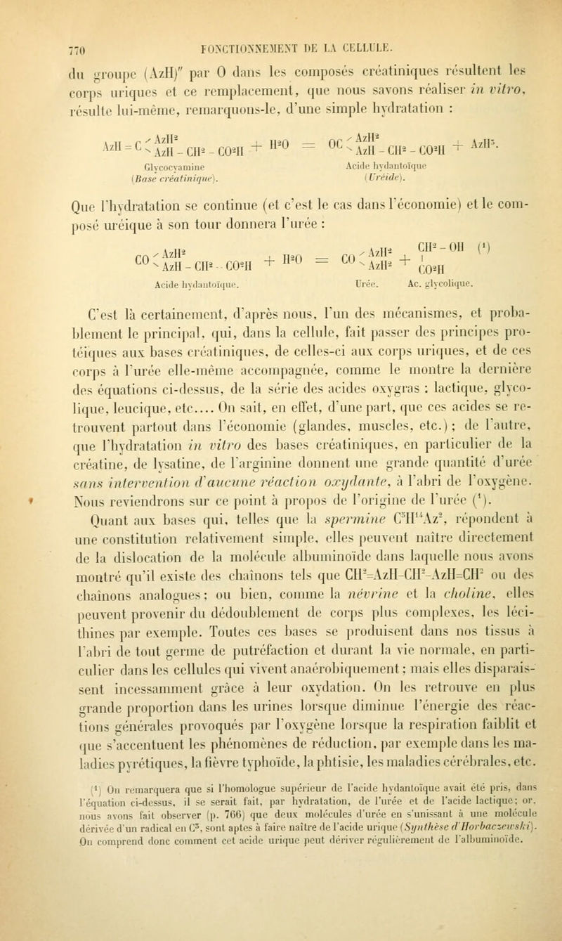 du <a-oupo (A/H) par 0 dans les composés créatiniques résultent les corps uriques et ce remplacement, que nous savons réaliser in vitro, résulte lui-même, remarquons-le, d'une simple hydratation : -^' = ^ ^ AzH - ClI^ - CO^II + '^ = ^^ ^ AzlI - Cll^ - C04I ^ '^'''• Glycocyamine Aciiio hydantoïqiie {Base créât inique). ( l'réide). Que l'hydratation se continue (et c'est le cas dans l'économie) et le com- posé uréique à son tour donnera l'urée : Acide hyilaiitoïquc. Urée. Ac. glycolique. C'est là certainement, d'après nous, l'un des mécanismes, et proba- blement le principal, qui, dans la cellule, fait passer des principes pro- téiques aux bases créatiniques, de celles-ci aux corps uriques, et de ces corps à l'urée elle-même accompagnée, comme le montre la dernière des équations ci-dessus, de la série des acides oxygras : lactique, glyco- lique, leucique, etc.... On sait, en effet, d'une part, que ces acides se re- trouvent partout dans l'économie (glandes, muscles, etc.); de l'autre, que l'hydratation in vitro des bases créatiniques. en particulier de la créatine, de lysatine, de Targinine donnent une grande quantité d'urée sans intervention cVaucune réaction oxydante, à l'abri de l'oxygène. Nous reviendrons sur ce point à propos de l'origine de l'urée (M- Quant aux bases qui, telles que la spermine C'IP^^z-, répondent à une constitution relativement simple, elles peuvent naître directement de la dislocation de la molécule albuminoïde dans laquelle nous avons montré qu'il existe des chaînons tels que Cn-=Azn-Cll--AzH=CH- ou des chaînons analogues; ou bien, connue la névrine et la clwline, elles peuvent provenir du dédoublement de corps plus complexes, les léci- thines par exemple. Toutes ces bases se produisent dans nos tissus h labri de tout germe de putréfaction et durant la vie normale, en parti- culier dans les cellules qui vivent anaérobiquement ; mais elles disparais- sent incessamment grâce à leur oxydation. On les retrouve en plus grande proportion dans les urines lorsque diminue l'énergie des réac- tions générales provoqués par l'oxygène lorsque la respiration faiblit et que s'accentuent les phénomènes de réduction, j)ar exemple dans les ma- ladies pyrétiqucs, la fièvre typhoïde, la phtisie, les maladies cérébrales, etc. (M On remarquera que si l'homologue supérieur de l'acide hydanloïque avait été pris, dans l'équation ci-dessus, il se serait lait, par hydratation, de l'urée et de l'acide lactique; or. nous avons fait observer (p. 766) que deux molécules d'urée en s'unissant à une molécule dérivée dun radical en C, sont aptes à faire naître de l'acide urique {Synthèse d'Horbaczcivshi). On comprend donc comment cet acide urique peut dériver régulièrement de ralhuminoïde.