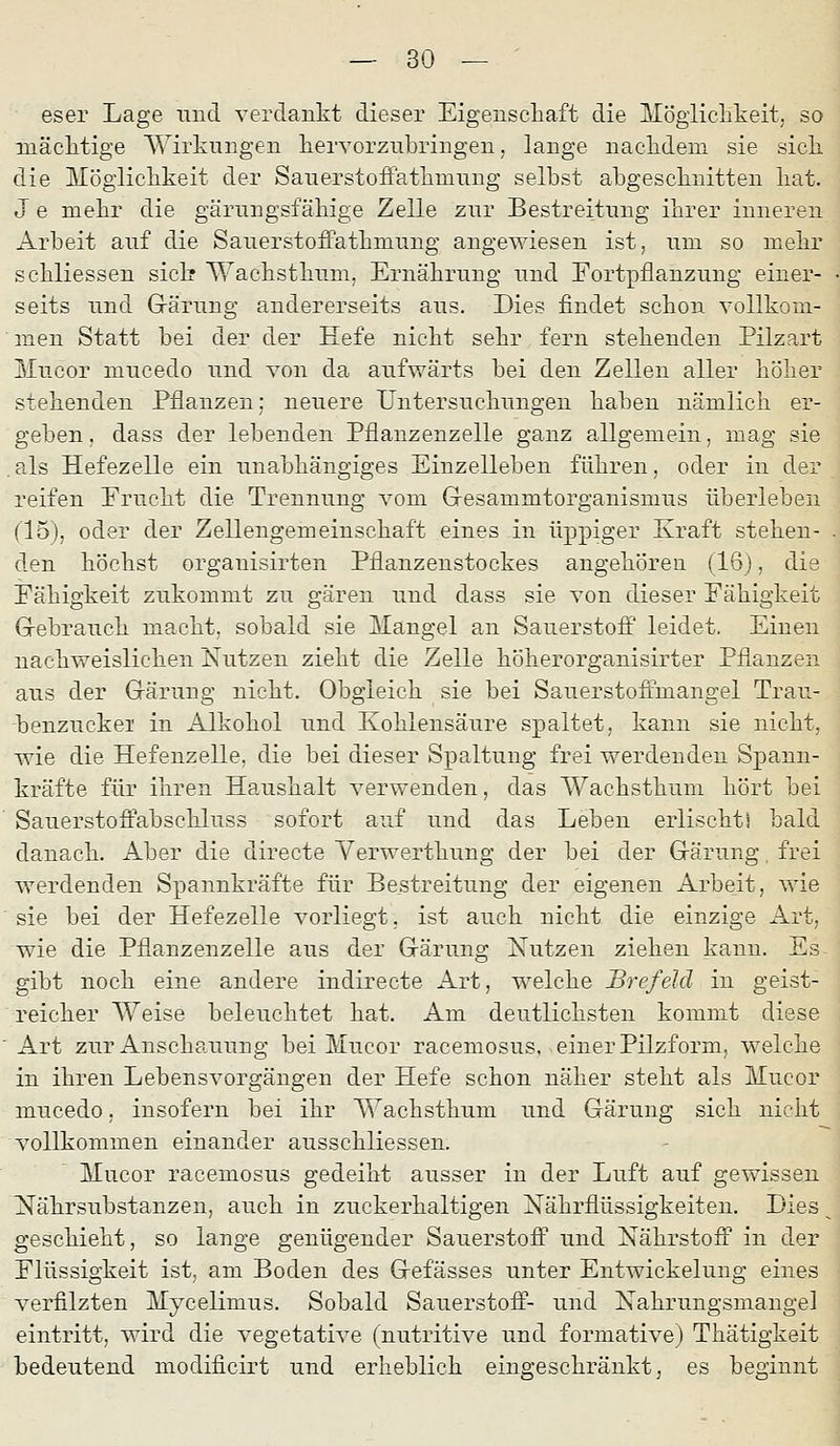 eser Lage und verdankt dieser Eigenschaft die Mögiiclikeit, so mäclitige Wirkungen liervorznbringen, lange naclidem sie sich die Möglichkeit der Sauerstofiathmnng selbst abgeschnitten hat. J e mehr die gärungsfähige Zelle zur Bestreitung ihrer inneren Arbeit auf die Sauerstoifathmung angewiesen ist, um so mehr schliessen siel? Wachsthum, Ernährung und Fortpflanzung einer- seits und Gärung andererseits aus. Dies findet schon vollkom- men Statt bei der der Hefe nicht sehr fern stehenden Pilzart Mucor mucedo und von da aufwärts bei den Zellen aller höher stehenden Pflanzen; neuere Untersuchungen haben nämlich er- geben . dass der lebenden Pflanzenzelle ganz allgemein, mag sie . als Hefezelle ein unabhängiges Einzelleben führen, oder in der reifen Frucht die Trennung vom G-esammtorganismus überleben (15), oder der Zellengemeinschaft eines in üppiger Kraft stehen- den höchst orgauisirten Pflanzenstockes angehören (16), die Fähigkeit zukommt zu gären und dass sie von dieser Fähigkeit Grebrauch macht, sobald sie Mangel an Sauerstoff leidet. Einen nachweislichen Nutzen zieht die Zelle höherorganisirter Pflanzen aus der Grärung nicht. Obgleich sie bei Sauerstoffmangel Trau- benzuckei in Alkohol und Kohlensäure spaltet, kann sie nicht, wie die Hefenzelle, die bei dieser Spaltung frei werdenden Spann- kräfte für ihren Haushalt verwenden, das Wachsthum hört bei Sauerstoö^abschluss sofort auf und das Leben erlischt! bald danach. Aber die directe Yerwerthung der bei der Gärung, frei werdenden Spannkräfte für Bestreitung der eigenen Arbeit, wie sie bei der Hefezelle vorliegt, ist auch nicht die einzige Art, wie die Pflanzenzelle aus der Gärung Nutzen ziehen kann. Es gibt noch eine andere indirecte Art, welche Brefeld in geist- reicher Weise beleuchtet hat. Am deutlichsten kommt diese Art zur Anschauung bei Mucor racemosus, einer Pilzform, welche in ihren Lebensvorgängen der Hefe schon näher steht als Mucor mucedo, insofern bei ihr Wachsthum und Gärung sich nicht vollkommen einander ausschliessen. Mucor racemosus gedeiht ausser in der Luft auf gewissen Nährsubstanzen, auch in zuckerhaltigen Nährflüssigkeiten. Dies ^ geschieht, so lange genügender Sauerstoff und Nährstoff in der Flüssigkeit ist, am Boden des Gefässes unter Entwickelung eines verfilzten Mycelimus. Sobald Sauerstoff- und Nahrungsmangel eintritt, wird die vegetative (nutritive und formative) Thätigkeit bedeutend modificirt und erheblich eingeschränkt, es beginnt