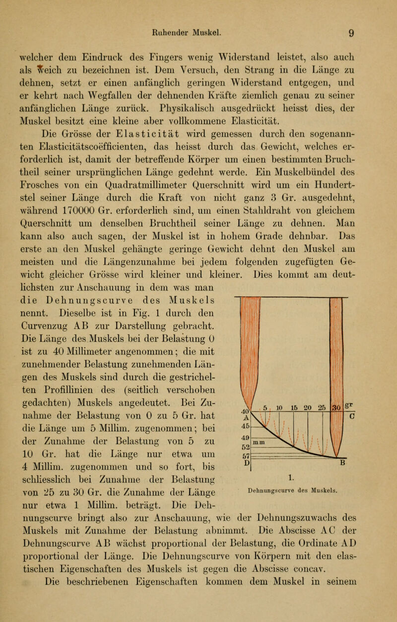 welcher dem Eindruck des Fingers wenig Widerstand leistet, also auch als ^eich zu bezeichnen ist. Dem Versuch, den Strang in die Länge zu dehnen, setzt er einen anfänglich geringen Widerstand entgegen, und er kehrt nach Wegfallen der dehnenden Kräfte ziemlich genau zu seiner anfänglichen Länge zurück. Physikalisch ausgedrückt heisst dies, der Muskel besitzt eine kleine aber vollkommene Elasticität. Die Grösse der Elasticität wird gemessen durch den sogenann- ten IClasticitätscoefficienten, das heisst durch das Gewicht, welches er- forderlich ist, damit der betreffende Körper um einen bestimmten Bruch- theil seiner ursprünglichen Länge gedehnt werde. Ein Muskelbündel des Frosches von ein Quadratmillimeter Querschnitt wird um ein Hundert- stel seiner Länge durch die Kraft von nicht ganz 3 Gr. ausgedehnt, während 170000 Gr. erforderlich sind, um einen Stahldraht von gleichem Querschnitt um denselben Bruchtheil seiner Länge zu dehnen. Man kann also auch sagen, der Muskel ist in hohem Grade dehnbar. Das erste an den Muskel gehängte geringe Gewicht dehnt den Muskel am meisten und die Längenzunahme bei jedem folgenden zugefügten Ge- wicht gleicher Grösse wird kleiner und kleiner. Dies kommt am deut- lichsten zur Anschauung in dem was man die Dehnungscurve des Muskels nennt. Dieselbe ist in Fig. 1 durch den Curvenzug AB zur Darstellung gebracht. Die Länge des Muskels bei der Belastung 0 ist zu 40 Millimeter angenommen; die mit zunehmender Belastung zunehmenden Län- gen des Muskels sind durch die gestrichel- ten Profillinien des (seitlich verschoben gedachten) Muskels angedeutet. Bei Zu- nahme der Belastung von 0 zu 5 Gr. hat die Länge um 5 Millim. zugenommen; bei der Zunahme der Belastung von 5 zu 10 Gr. hat die Länge nur etwa um 4 Millim. zugenommen und so fort, bis schliesslich bei Zunahme der Belastung von 25 zu 30 Gr. die Zunahme der Länge nur etwa 1 Millim. beträgt. Die Deh- nungscurve bringt also zur Anschauung, wie der Dehnungszuwachs des Muskels mit Zunahme der Belastung abnimmt. Die Abscisse AC der Dehnungscurve AB wächst proportional der Belastung, die Ordinate AD proportional der Länge. Die Dehnungscurve von Körperu mit den elas- tischen Eigenschaften des Muskels ist gegen die Abscisse concav. Die beschriebenen Eigenschaften kommen dem Muskel in seinem Dehnungscurve des Muskels.