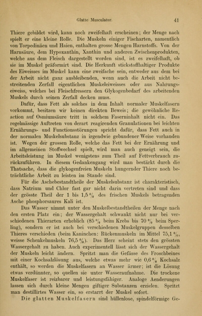 Thiere gebildet wird, kann noch zweifelhaft erscheinen; der Menge nach spielt er eine kleine Rolle. Die Muskeln einiger Fischarten, namentlich von Torpedinäen und Haien, enthalten grosse Mengen Harnstoffs. Von der Harnsäure, dem Hypoxanthin, Xanthin und anderen Zwischenprodukten, welche aus dem Fleisch dargestellt worden sind, ist es zweifelhaft, ob sie im Muskel präformirt sind. Die Herkunft stickstoffhaltiger Produkte des Eiweisses im Muskel kann eine zweifache sein, entweder aus dem bei der Arbeit nicht ganz ausbleibenden, wenn auch die Arbeit nicht be- streitenden Zerfall eigentlichen Muskeleiweisses oder aus Nahrungs- eiweiss, welches bei Fleischfressern den Glykogenbedarf des arbeitenden Muskels durch seinen Zerfall decken muss. Dafür, dass Fett als solches in dem Inhalt normaler Muskelfasern vorkommt, besitzen wir keinen direkten Beweis; die gewöhnliche Re- action auf Osmiumsäure tritt in solchem Faserninhalt nicht ein. Das regelmässige Auftreten von derart reagirenden Granulationen bei leichten Ernährungs- und Functionsstörungen spricht dafür, dass Fett auch in der normalen Muskelsubstanz in irgendwie gebundener Weise vorhanden ist. Wegen der grossen Rolle, welche das Fett bei der Ernährung und im allgemeinen Stoffwechsel spielt, wird man auch geneigt sein, die Arbeitsleistung im Muskel wenigstens zum Theil auf Fettverbrauch zu- rückzuführen. In diesem Gedankengang wird man bestärkt durch die Thatsache, dass die glykogenfreien Muskeln hungernder Thiere noch be- trächtliche Arbeit zu leisten im Stande sind. Für die Aschebestandtheile der Muskelsubstanz ist charakteristisch, dass Natrium und Chlor fast gar nicht darin vertreten sind und dass der grösste Theil der 1 bis 1,5% des frischen Muskels betragenden Asche phosphorsaures Kali ist. Das Wasser nimmt unter den Muskelbestandtheilen der Menge nach den ersten Platz ein; der Wassergehalt schwankt nicht nur bei ver- schiedenen Thierarten erheblich (85 % beim Krebs bis 70 % beim Sper- ling), sondern er ist auch bei verschiedenen ]Muskelgruppen desselben Thieres verschieden (beim Kaninchen: Rückenmuskeln im Mittel 75,1 %, weisse Schenkelmuskeln 76,5 %). Das Herz scheint stets den grössten Wassergehalt zu haben. Auch experimentell lässt sich der Wassergehalt der Muskeln leicht ändern. Spritzt man die Gefässe des Froschbeines mit einer Kochsalzlösung aus, welche etwas mehr wie 0,6 % Kochsalz enthält, so werden die Muskelfasern an Wasser ärmer; ist die Lösung etwas verdünnter, so quellen sie unter Wasseraufnahme. Die trockene Muskelfaser ist reizbarer und leistungsfähiger. Analoge Aenderungen lassen sich durch kleine Mengen giftiger Substanzen erzielen. Spritzt man destillirtes Wasser ein, so erstarrt der Muskel sofort. Die glatten Muskelfasern sind hüllenlose, spindelförmige Ge-