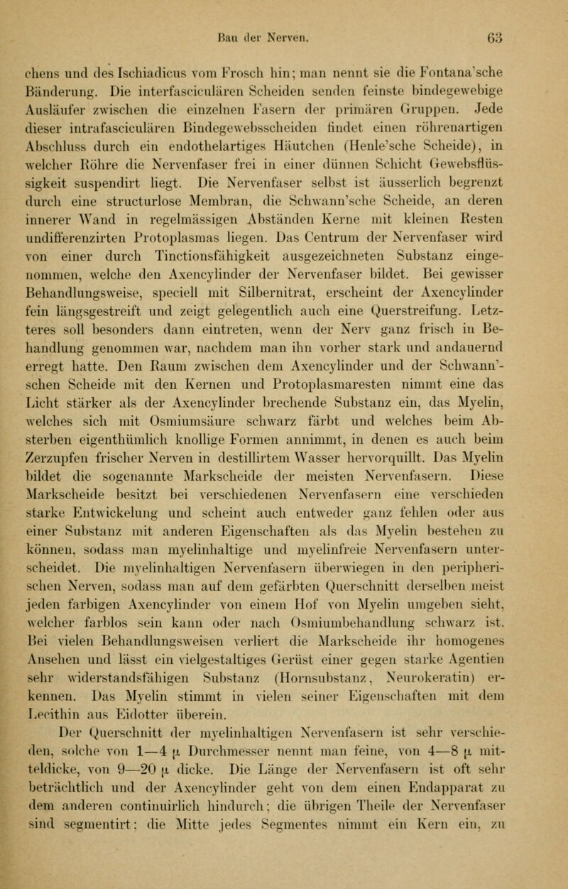 chens und des Ischiadicus vom Frosch hin; man nennt sie die Fontana'sehe Bänderung. Die interfasciculären Scheiden senden feinste bindegewebige Ausläufer zwischen die oinzehien Fasern der primären Gruppen. Jede dieser intrafasciculären Bindegewebsscheiden findet einen röhrenartigen Abschhiss durch ein endothelartiges Häutchen (Henle'sche Scheide), in welcher Röhre die Nervenfaser frei in einer dünnen Schicht Gewebsflüs- sigkeit suspendirt liegt. Die Nervenfaser selbst ist äusserlich begrenzt durch eine structurlose Membran, die Schwann'sche Scheide, an deren innerer Wand in regelmässigen Abständen Kerne mit kleinen Resten undifterenzirten Protoplasmas liegen. Das Centrum der Nervenfaser wird von einer durch Tinctionsfähigkeit ausgezeichneten Substanz einge- nommen, welche den Axencylinder der Nervenfaser bildet. Bei gewisser Behandlungsweise, speciell mit Silbernitrat, erscheint der Axencylinder fein längsgestreift und zeigt gelegentlich auch eine Querstreifung. Letz- teres soll besonders dann eintreten, wenn der Nerv ganz frisch in Be- handlung genommen war, nachdem man ihn vorher stark und andauernd erregt hatte. Den Raum zwischen dem Axencylinder und der Schwann'- schen Scheide mit den Kernen und Protoplasmaresten nimmt eine das Licht stärker als der Axencylinder brechende Substanz ein, das Myelin, welches sich mit Osmiumsäure schwarz färbt und welches beim Ab- sterben eigenthümlich knollige Formen annimmt, in denen es auch beim Zerzupfen frischer Nerven in destillirtem Wasser hervorquillt. Das Myelin bildet die sogenannte Markscheide der meisten Nervenfasern. Diese Marksclieide besitzt bei verschiedenen Nervenfasern eine verschieden starke Entwickelung und scheint auch entweder ganz fehlen oder aus einer Substanz mit anderen Eigenschaften als das Myelin bestehen zu können, sodass man myelinhaltige und myelinfreie Nervenfasern unter- scheidet. Die myelinhaltigen Nerventasern überwiegen in den peripheri- schen Nerven, sodass man auf dem gefärbten Querschnitt derselben meist jeden farbigen Axencylinder von einem Hof von Myelin umgeben sieht, welcher farblos sein kann oder nach Osmiumbehandlung schwarz ist. Bei vielen Behandlungsweisen verliert die Markscheide ihr homogenes Ansehen und lässt ein vielgestaltiges Gerüst einer gegen starke Agentien sehr widerstandsfähigen Substanz (Hornsubstanz, Neurokeratin) er- kennen. Das ^Myelin stimmt in vielen seiner Eigenschaften mit dem Lecithin aus Eidotter überein. Der Querschnitt der myelinhaltigen Nervenfasern ist sehr vei-schie- den, sf»lche von 1—4 |x Durchmesser nennt man feine, von 4—8 [ji mit- teldicke, von 9—20 (JL dicke. Die Länge der Nervenfasern ist oft sehr beträchtlich und der Axencylinder geht von dem einen Endapparat zu dem anderen continuirlich hindurch; die übrigen Theile der Nervenfaser sind segmentirt: die Mitte jedes Segmentes nimmt ein Kern ein, zu