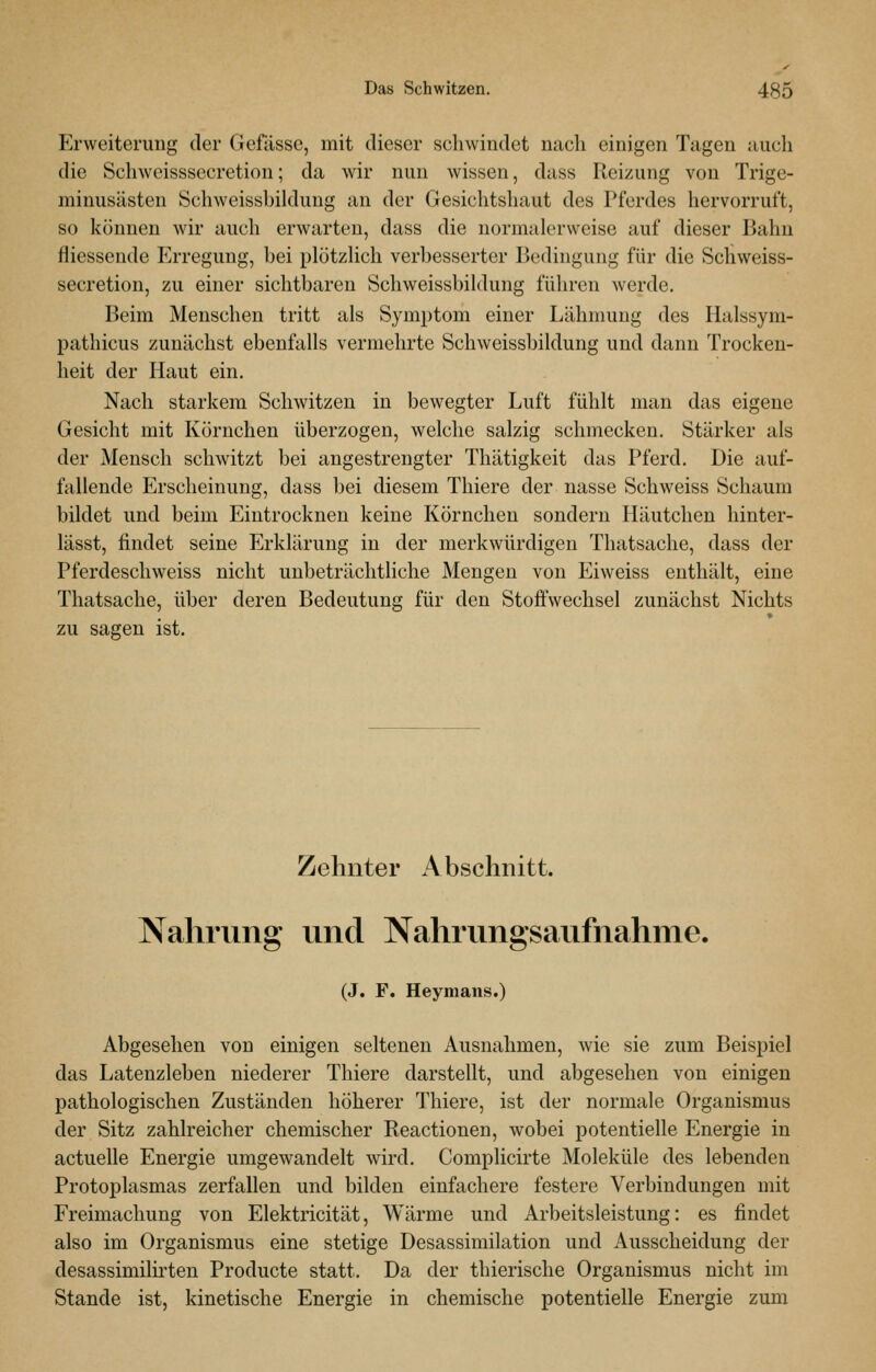 Erweiterung der Gefässc, mit dieser schwindet nach einigen Tagen auch die Schweisssecretion; da wir nun wissen, dass Reizung von Trige- minusästen Schweissbildung an der Gesichtshaut des Pferdes hervorruft, so können Avir auch erwarten, dass die normalerweise auf dieser Bahn fliessende Erregung, bei plötzhch verl)esserter Bedingung für die Schweiss- secretion, zu einer sichtbaren Schweissbildung führen werde. Beim Menschen tritt als Symptom einer Lähmung des Halssym- pathicus zunächst ebenfalls vermehrte Schweissbildung und dann Trocken- heit der Haut ein. Nach starkem Schwitzen in bewegter Luft fühlt man das eigene Gesicht mit Körnchen überzogen, welche salzig schmecken. Stärker als der Mensch schwitzt bei angestrengter Thätigkeit das Pferd. Die auf- fallende Erscheinung, dass bei diesem Thiere der nasse Schweiss Schaum bildet und beim Eintrocknen keine Körnchen sondern Häutchen hinter- lässt, findet seine Erklärung in der merkwürdigen Thatsache, dass der Pferdeschweiss nicht unbeträchtliche Mengen von Eiweiss enthält, eine Thatsache, über deren Bedeutung für den Stoffwechsel zunächst Nichts zu sagen ist. Zehnter Abschnitt. Nahrung und Nahrungsaufnahme. (J. F. Heymans.) Abgesehen von einigen seltenen Ausnahmen, wie sie zum Beispiel das Latenzleben niederer Thiere darstellt, und abgesehen von einigen pathologischen Zuständen höherer Thiere, ist der normale Organismus der Sitz zahlreicher chemischer Reactionen, wobei potentielle Energie in actuelle Energie umgewandelt wird. Complicirte Moleküle des lebenden Protoplasmas zerfallen und bilden einfachere festere Verbindungen mit Freimachung von Elektricität, Wärme und Arbeitsleistung: es findet also im Organismus eine stetige Desassimilation und Ausscheidung der desassimilirten Producte statt. Da der thierische Organismus nicht im Stande ist, kinetische Energie in chemische potentielle Energie zum
