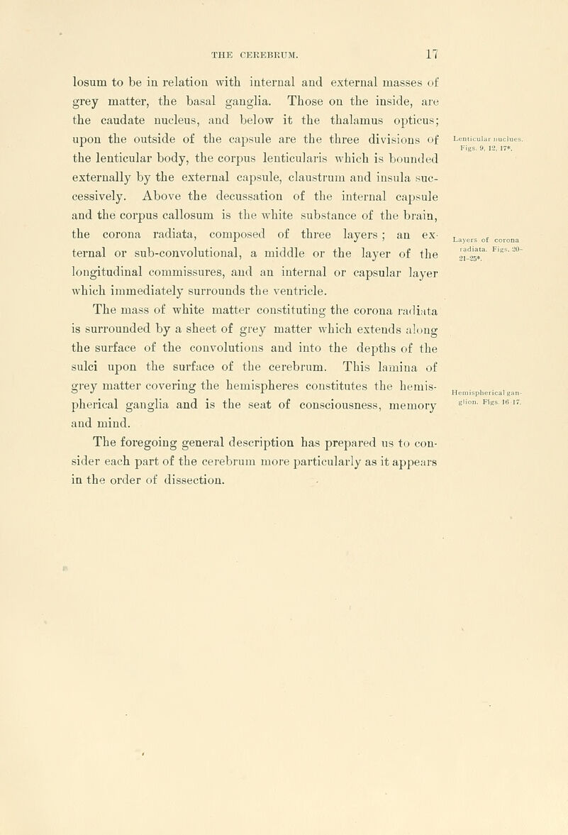 losum to be in relation with internal and external masses of grey matter, the basal ganglia. Those on the inside, are the caudate nucleus, and below it the thalamus opticus; upon the outside of the capsule are the three divisions of Lenticuia, > Figs. 9, 12 the lenticular body, the corpus lenticularis which is bounded externally by the external capsule, claustrum and insula suc- cessively. Above the decussation of the internal capsule and the corpus callosum is the white substance of the brain, the corona radiata, composed of three layers ; an ex- ^a ers ot ternal or sub-convolutional, a middle or the layer of the 'l-^^t' ^ longitudinal commissures, and an internal or capsular layer which immediately surrounds the ventricle. The mass of white matter constituting the corona radiata is surrounded by a sheet of grey matter which extends along the surface of the convolutions and into the depths of the sulci upon the surface of the cerebrum. This lamina of grey matter covering the hemispheres constitutes the hemis- pherical ganglia and is the seat of consciousness, memory and mind. The foregoing general description has prepared us to con- sider each part of the cerebrum more particularly as it appears in the order of dissection. splierioalgan n. Figs. 16 17