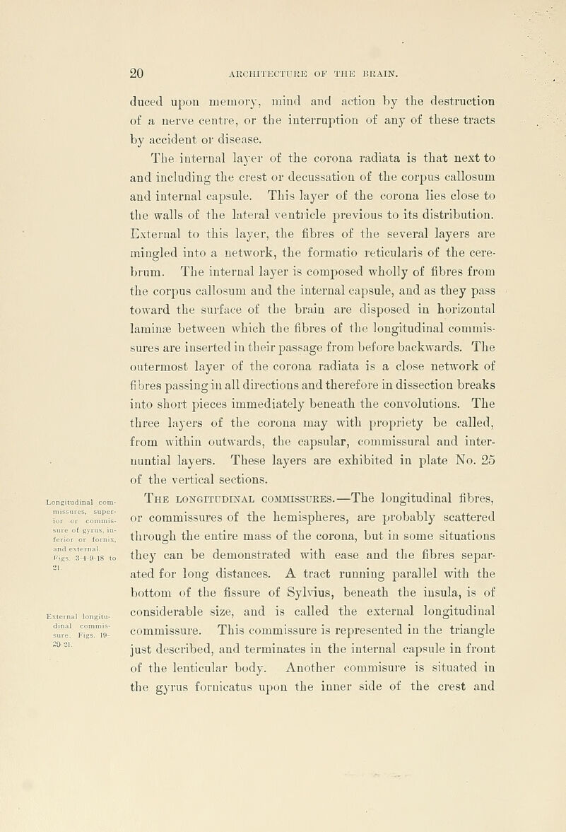 duced u]3on memory, mind and action by the destruction of a nerve centi'e, or the interruption of any of these tracts by accident or disease. The internal layer of the corona radiata is that next to and including the crest or decussation of the corpus callosum and internal capsule. This layer of the corona lies close to the walls of the lateral ventiicle previous to its distribution. External to this layer, the fibres of the several layers are mingled into a network, the formatio reticularis of the cere- brum. The internal layer is composed wholly of fibres from the corpus callosum and the internal capsule, and as they pass toward the sui'face of the brain are disposed in horizontal laminae between which the fibres of the longitudinal commis- sures are inserted in their passage from before backwards. The outermost layer of the corona radiata is a close network of fibres passing in all directions and therefore in dissection breaks into short pieces immediately beneath the convolutions. The three layers of the corona may with propriety be called, from within outwards, the capsular, commissural and inter- nuntial layers. These layers are exhibited in plate No. 25 of the vertical sections. Dngitudinai com- The LONGiTUDiisrAL COMMISSURES.—The longitudinal fibres, i'or'o''comm'ir- ov commissures of the hemispheres, are probably scattered ferior°of Vor'X tlirough tho eutlro mass of the corona, but in some situations p'i'gs'^sT'g'is to they can be demonstrated with ease and the fibres separ- ated for long distances. A tract running parallel with the bottom of the fissure of Sylvius, beneath the insula, is of Mernai ionitu- cousiderablc size, and is called the external longitudinal commissure. This commissure is represented in the triangle just described, and terminates in the internal capsule in front of the lenticular body. Another commisui-e is situated in the gyrus fornicatus upon the inner side of the crest and sure. Figs. 19 20 21.