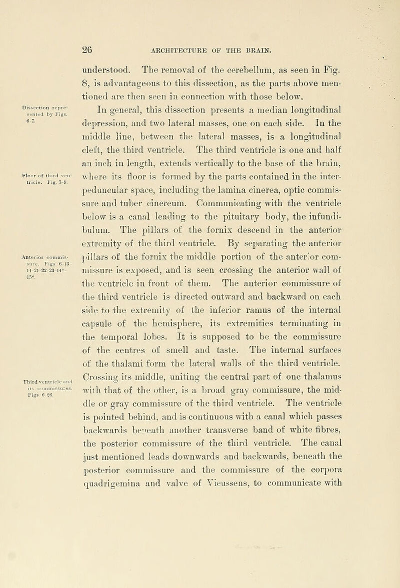 !tion repre- ed by higs. 26 ARCHITECTURE OF THE BRAIN. understood. The removal of the cerebellum, as seen in Fig. 8, is advantageous to this dissection, as the parts above men- tioned are then seen in connection with those below. In general, this dissection presents a median longitudinal ^'' depression, and two lateral masses, one on eacli side. In the middle line, between the lateral masses, is a longitudinal cleft, the third ventricle. The third ventricle is one and half an incli in length, extends vertically to the base of the brain, Floor of third ven- ^^]lere its floor is formed by the parts contained in the inter- tricle. Fig. 7-9. •' ■>■ peduncular space, including the lamina cinerea, optic commis- sure and tuber cinereum. Communicating with the ventricle below is a canal leading to the pituitary body, the infundi- bulum. The pillars of the fornix descend in the anterior extremity of the third ventricle. By separating the anterior Anterior commis- jiillars of the forulx the middle portion of the anterior com- snre. Figs. 6-13- 14-21-23 23-14*- mlssurc is exposed, and is seen crossing the anterior wall of the ventricle in front of them. The anterior commissure of the third ventricle is directed outward and backward on each side to the extremity of the inferior ramus of the internal capsule of the hemisphere, its extremities terminating in the temporal lobes. It is supposed to be the commissure of the centres of smell and taste. The internal surfaces of the thalami form the lateral walls of the third ventricle. Crossing its middle, uniting the central part of one thalamus wilh that of the other, is a broad gray commissure, the mid- dle or gray commissure of the third ventricle. The ventricle is pointed behind, and is continuous with a canal which passes backwards be^ieath another transverse band of white fibres, the posterior commissure of the third ventricle. The canal just mentioned leads downwards and backwards, beneath the posterior commissure and the commissure of the corpora quadrigemiua and valve of Vieussens, to communicate with Third ventricle