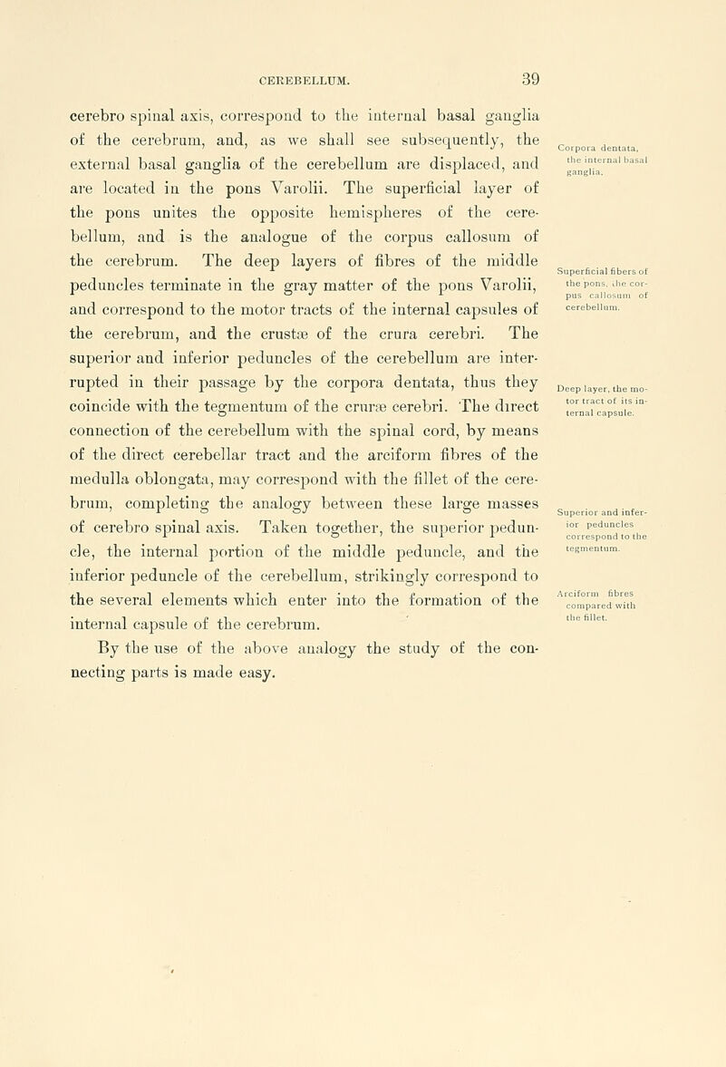 cerebro spinal axis, correspond to the internal basal ganglia of the cerebrum, and, as we shall see subsequently, the external basal ganglia of the cerebellum are displaced, and are located in the pons Varolii. The superficial layer of the pons unites the opposite hemispheres of the cere- bellum, and is the analogue of the corpus callosum of the cerebrum. The deep layers of fibres of the middle peduncles terminate in the gray matter of the pons Varolii, and correspond to the motor tracts of the internal capsules of the cerebrum, and the crustse of the crura cerebri. The superior and inferior peduncles of the cerebellum are inter- rupted in their passage by the corpora dentata, thus they coincide with the tegmentum of the crurse cerebri. The direct connection of the cerebellum with the spinal cord, by means of the direct cerebellar tract and the arciform fibres of the medulla oblongata, may correspond with the fillet of the cere- brum, completing the analogy between these large masses of cerebro spinal axis. Taken together, the superior pedun- cle, the internal portion of the middle peduncle, and the inferior peduncle of the cerebellum, strikingly correspond to the several elements which enter into the formation of the internal capsule of the cerebrum. By the use of the above analogy the study of the con- necting parts is made easy. Corpora dentata, Superficial fibers of Deep layer, the tor tract of it peduncl respond t