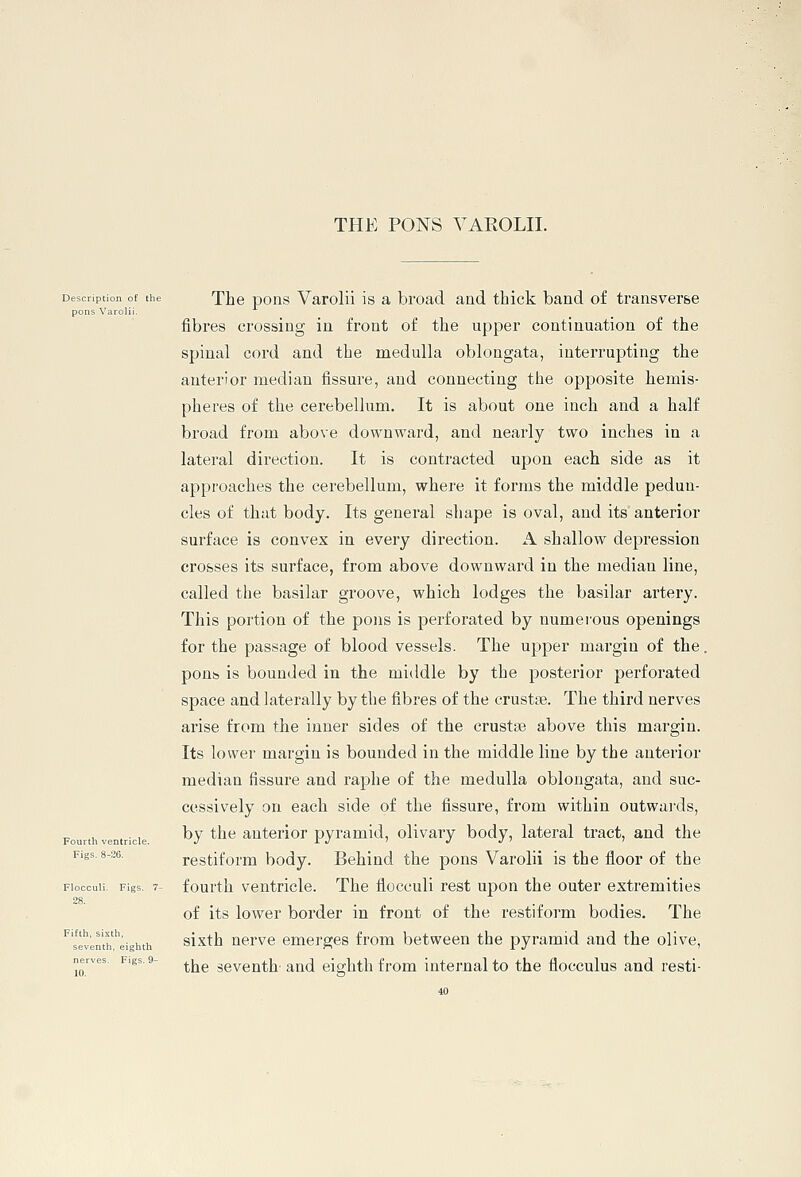THE PONS VAROLII. Description of the The poiis Varolii is a broad and thick band of transverse pons V fibres crossing in front of the upper continuation of the spinal cord and the medulla oblongata, interrupting the anterior median fissure, and connecting the opposite hemis- pheres of the cerebellum. It is about one inch and a half broad from above dowuAvard, and nearly two inches in a lateral direction. It is contracted upon each side as it approaches the cerebellum, where it forms the middle pedun- cles of that body. Its general shape is oval, and its anterior surface is convex in every direction. A shallow depression crosses its surface, from above downward in the median line, called the basilar groove, which lodges the basilar artery. This portion of the pons is perforated by numei'ous openings for the passage of blood vessels. The upper margin of the. pons is bounded in the middle by the posterior perforated space and laterally by the fibres of the crustse. The third nerves arise from the inner sides of the crustse above this margin. Its lower margin is bounded in the middle line by the anterior median fissure and raphe of the medulla oblongata, and suc- cessively on each side of the fissure, from within outwards, by the anterior pyramid, olivary body, lateral tract, and the Figs. 8-26. restiform body. Behind the pons Varolii is the floor of the 'loccuii. Figs. 7- fourth ventricle. The flocculi rest upon the outer extremities of its lower border in front of the restiform bodies. The sixth nerve emerges from between the pyramid and the olive, the seventh- and ei2;hth from internal to the flocculus and resti- Fourth ventricle eighth Figs. 9^