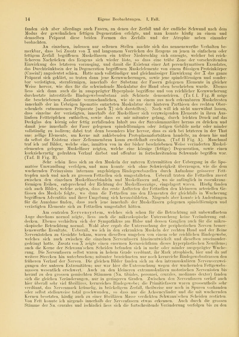 fanden sich aber allerdings auch Fasern, au denen der Zerfall und der endliche Schwund nach dem Modus der gewöhnlichen fettigen Degeneration erfolgte, und man konnte häufig an einem und demselben Präparat diese lieideu Formen des Zerfalls und der Atrophie neben einander beobachten. An einzelnen, indessen_ nur seltenen Stellen machte sich das uennenswerthe Verhalten be- merkbar, dass bei Zusatz von A und langsamem Vorrücken des Reagens an jenen in einfachem oder fettigem Zerfall begriffenen jMuskelfasern ein trülier Niederschlag sich erzengte, welcher bei reicli- licherem Nachrücken des Reagens sich wieder löste, so dass eine trübe Zone der vorschreitenden Einwirkung des letzteren vorausging, und damit die Existenz einer Art perenchymatösen Exsudates, das Durchtränktsein der in Degeneration begriffenen Muskelelemente von einem flüssigen Proteinkörper (Casein?) angedeutet schien. Hatte nach vollständiger und gleichmässiger Einwirkung der A das ganze Präparat sich geklärt, so traten dann jene Kernwucherungeu, sowie jene spindelförmigen und sonder- bar verästigteu, steruförmigen, innerhalb der Substanz der Fasern gelegenen Elemente in gleicher Weise hervor, wie dies für die schwindende Muskulatur der Hand oben beschrieben wurde. Ebenso Hess sich dann auch die in ausgeprägter Hyperplasie liegriffene und von reichlicher Kernwuchernng durchsetzte interstitielle Bindegewebssubstanz aufs Schönste demonstriren. (Ta f I. Fig. H möge die beschriebenen Zustände veranschauhchen, wie sie an einem aus noch erkennbaren Muskelresten innerhalb der im Uebrigen lipomatös entarteten Muskulatur der hinteren Parthieon des rechten Ober- schenkels entnommenen Präparate [nach Ä] sich darstellten). Koch will ich nicht unerwähnt lassen, dass einzelne der verästigten, innerhalb der Muskelfaser sich verzweigenden Elemente in ihi-en Aus- läufern Fetttröpfchen enthielten, sowie dass es mir mitunter gelaug, durch leichten Druck auf das Deckglas den körnig oder fettig zerfallenden Inhalt aus der Sarcolemmaröhre heraus zu drücken und damit jene innerhalb der Faser gelegenen spindelförmigen oder ästigen Gebilde mehr oder minder vollständig zu isoliren; dabei trat denn Ijesouders klar hervor, dass es sich bei letzteren in der That um zellige Elemente, um Kerne mit anklebenden Protoplasmafortsätzen handelte, an denen hie und da selbst die Existenz einer Zellenmembran kaum zweifelhaft erschien. (Taf II Fig. A). Manchmal traf ich auf Bilder, welche eine, inmitten von in der bisher beschriebenen Weise veränderten Muskel- elementen gelegene Muskelfaser zeigten, welche eine körnige (fettige) Degeneration, sowie einen korkzieherartia: gedrehten Verlauf darbot und offenbar in fortschreitendem Schwunde begriffen war. (Taf II Fig. B). Sehr schön Hess sich an den Muskeln der unteren Extremitäten der üebergang in die lipo- matöse Umwandlung verfolgen, und man konnte sich ohne Schwierigkeit überzeugen, wie die dem wuchernden Perimysium internum angehörigeu Bindegeweliszellen durch Aufnahme grösserer Fett- tropfeu nach und nach zu grossen Fettzellen sich umgestalteten, üebei'all traten die Fettzellen zuerst zwischen den einzelnen Muskelfaserbündeln und Muskelfasern auf, wo sie anfänglich in rosenkranz- förmigen Reihen, entsprechend der Richtung der Muskelfaserzüge, eingelagert waren. Häufig fanden sich auch Bilder, welche zeigten, dass das erste Auftreten der Fettzellen den kleineren arteriellen Ge- fässen des Muskels folgte, wo dann die Fettzelleu aus den Elementen der gleichfalls in Wucherung begriffenen Adventitia und ihrer Umgebung sich herausbildeten. Nirgends aber konnte ich Andeutungen für die Annahme finden, dass auch jene innerhalb der Muskelfasern gelegenen spindelförmigen und verästigten Elemente sich zu Fettzellen umgestaltet hätten. Am centralen Nervensystem, welches sich schon für die Betrachtung mit unbewaffnetem Auge durchaus normal zeigte, Hess auch die mikro.sknpische Untersuchung keine Veränderung ent- decken. Ebenso verhielten sich der Sympathikus am Halse und dessen Ganglien auch für die mikro- skopische Betrachtung normal. Wohl alier ergab die Untersuchung der peripherischen Nerven Itemer- kenswerthe Resultate. Ueberall, wo ich in den erkrankten Muskeln der rechten Hand und der Beine Nervenästchen zu Gesichte bekam, waren dieselben umgeben von einem sehr reichlichen Bindegewebe, welches sich auch zwischen die einzelnen Nervenfasern hiueinentwickelt und dieselben auseinander- gedrängt hatte. Zusatz von A zeigte einen enormen Kerureichthum dieses hyperpla.stischen Neurilenis; auch die Kerne der Schwann'scheu Scheiden befanden sich in mehr oder minder ausgeprägter Wuche- rung. Die Nervenfasern selbst waren in hohem Grade verdünnt, ihr Mark atrophisch, hier und da auf weitere Strecken hin unterbrochen; mitunter bezeichneten nur noch kernreiche Bindegewebsstrassen den fi-überen Verlauf der Nerven. Die gleichen Bilder fanden sich au den intranmsknlären Nervenwrzwei- gungeu der unteren Extremitäten; nur war hier die Untersuchung wegen der wuchernden Fettgewebs- massen wesentlich erschwert. Auch an den kleineren extramuskniären motorischen Nervenästen bis herauf zu den grossen gemischten Stämmen (Nu. tibiales, peronaei, crurales, medianus dexter) fanden sich die gleichen Veränderungen, nur in geringeren Graden. Zwischen den Nervenfasern verlief auch hier überall sehr viel filnilUiies, kernreiches Bindegewebe; die Priraitivfasern waren grossentheils sehr verdünnt, das Nervennuuk krümelig, in bröckeligem Zerfall, theilweise nur noch in Spuren vorhanden oder selbst stellenweise total geschwunden, so dass nur die Aclisencylinder und die mit wuchernden Kernen besetzten, häufig auch zu einer fibrillären Masse verdickten Schwann'scheu Scheiden restirten. Von Fett konnte ich nirgends innerhalb der Nervenfasern etwas erkennen. Aueh durch die grossen Stämme der Nn. crurales und ischiadici Hess sich die fortschreitende Veränderung verfolgen bis zu den