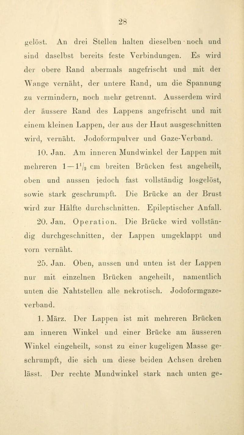 jjclüst. Au drei Stellen halten dieselben ■ noch und sind daselbst bereits feste Verbindungen. Es wird der obere Rand abermals angefrischt und mit der Wange vernäht, der untere Rand, um die Spannung zu vermindern, noch mehr getrennt. Ausserdem wird der äussere Rand des Lappens angefrischt und mit einem kleinen Lappen, der aus der Haut ausgeschnitten wird, vernäht. Jodoformpulver und Gaze-Verband. 10. Jan. Am inneren Mundwinkel der Lappen mit mehreren 1 — l^/g cm breiten Brücken fest angeheilt, oben und aussen iedoch fast vollständig losgelöst, sowie stark geschrumpft. Die Brücke an der Brust wird zur Hälfte durchschnitten. Epileptischer Anfall. 20. Jan. Operation. Die Brücke wird vollstän- dig durchgeschnitten, der Lappen umgeklappt und vorn vernäht. 25. Jan. Oben, aussen und unten ist der Lappen nur mit einzelnen Brücken angeheilt, namentlich unten die Nahtstellen alle nekrotisch. Jodoformgaze- verband. 1. März. Der Lappen ist mit mehreren Brücken am inneren Winkel und einer Brücke am äusseren Winkel eingeheilt, sonst zu einer kugeligen Masse ge- schrumpft, die sich um diese beiden Achsen drehen lässt. Der rechte Mundwinkel stark nach unten ge-