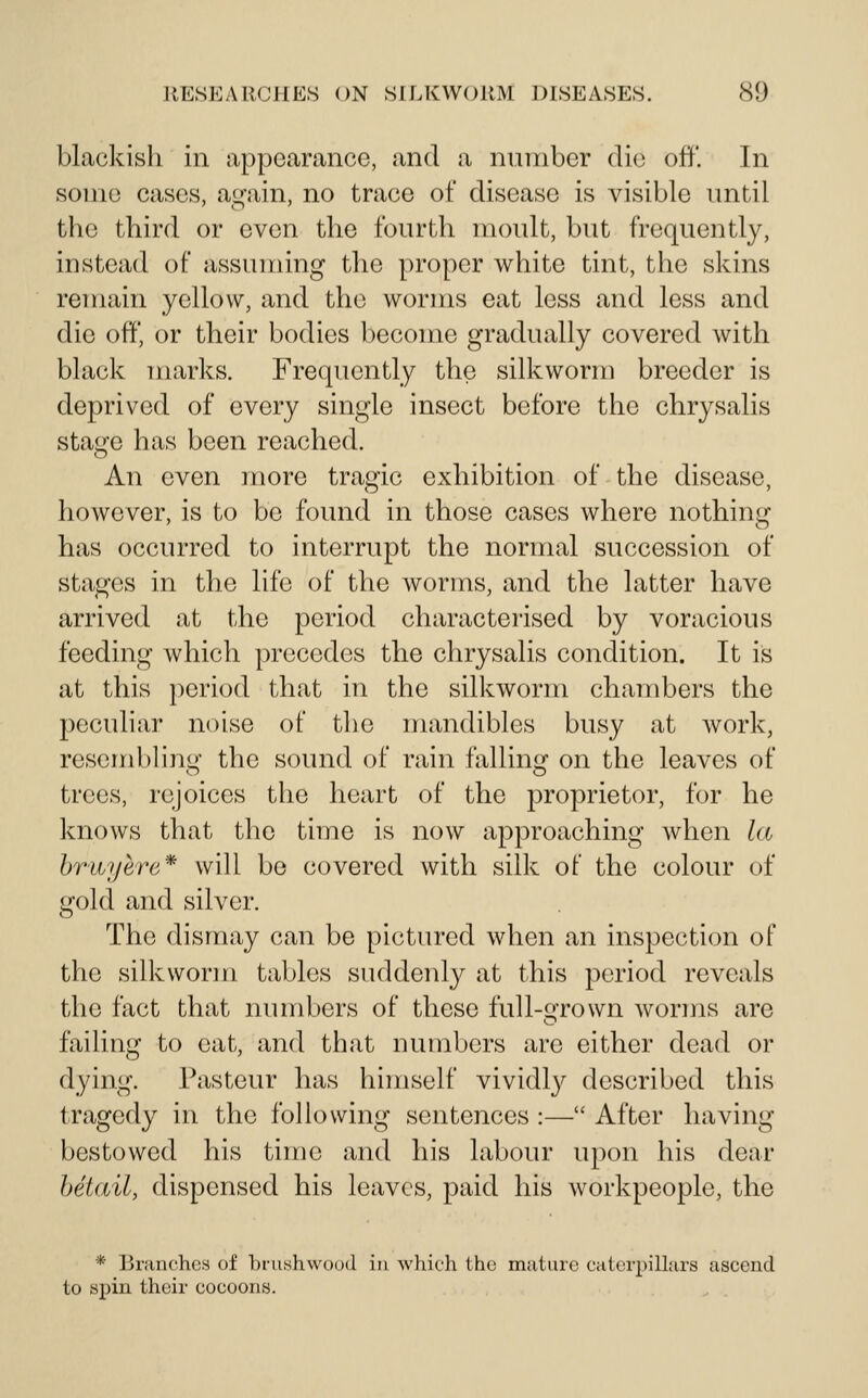 blackish in appearance, and a number die off. In some cases, aL'-ain, no trace of disease is visible until the third or even the fourth moult, but frequently, instead of assuming the proper white tint, the skins remain yellow, and the worms eat less and less and die off, or their bodies l)ecome gradually covered with black marks. Frequently the silkworm breeder is deprived of every single insect before the chrysalis stage has been reached. An even more tragic exhibition of the disease, however, is to be found in those cases where nothing has occurred to interrupt the normal succession of stages in the life of the worms, and the latter have arrived at the period characterised by voracious feeding which precedes the chrysalis condition. It is at this period that in the silkworm chambers the peculiar noise of the mandibles busy at work, resemblini*' the sound of rain fallino;' on the leaves of trees, rejoices the heart of the proprietor, for he knows that the time is now approaching when la hruyere* will be covered with silk of the colour of gold and silver. The dismay can be pictured when an inspection of the silk won ri tables suddenly at this period reveals the fact that numbers of these full-Gfrown worms are failing to oat, and that numbers are either dead or dying. Pasteur has himself vividly described this tragedy in the following sentences :— After having bestowed his time and his labour upon his dear hetail, dispensed his leaves, paid his workpeople, the * Branches of brushwood in which the maturo caterpillars ascend to spin their cocoons.